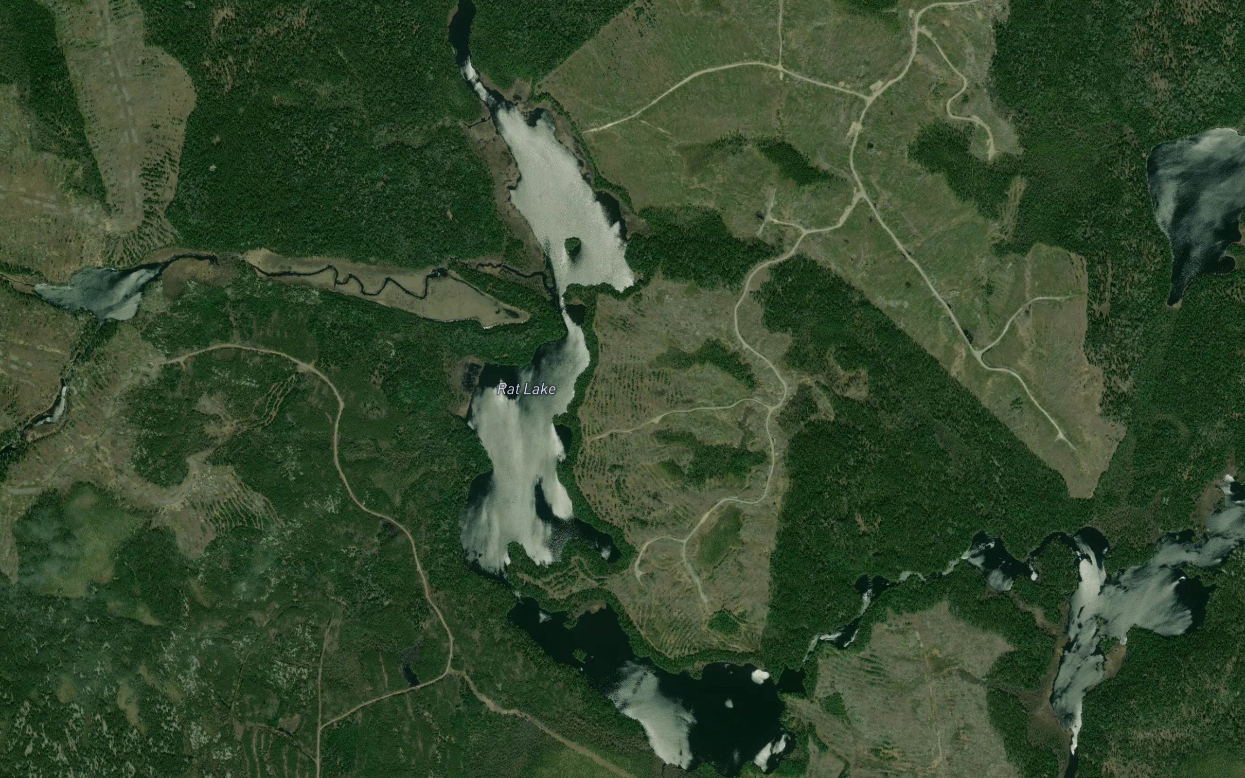 Rat Lake