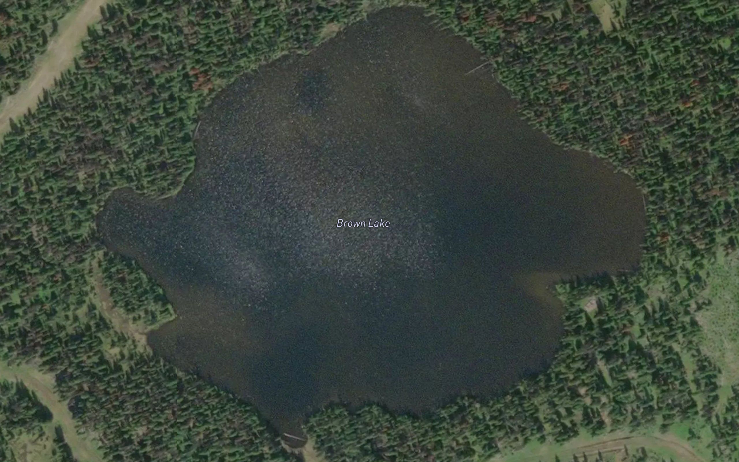 Brown Lake