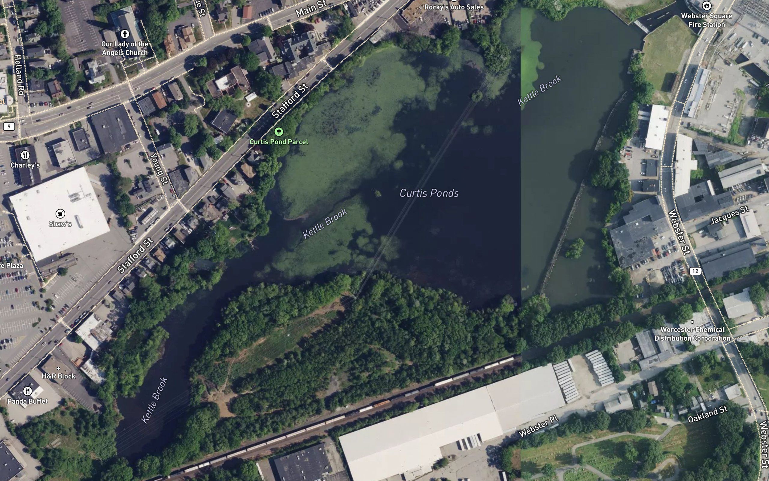 Curtis Ponds