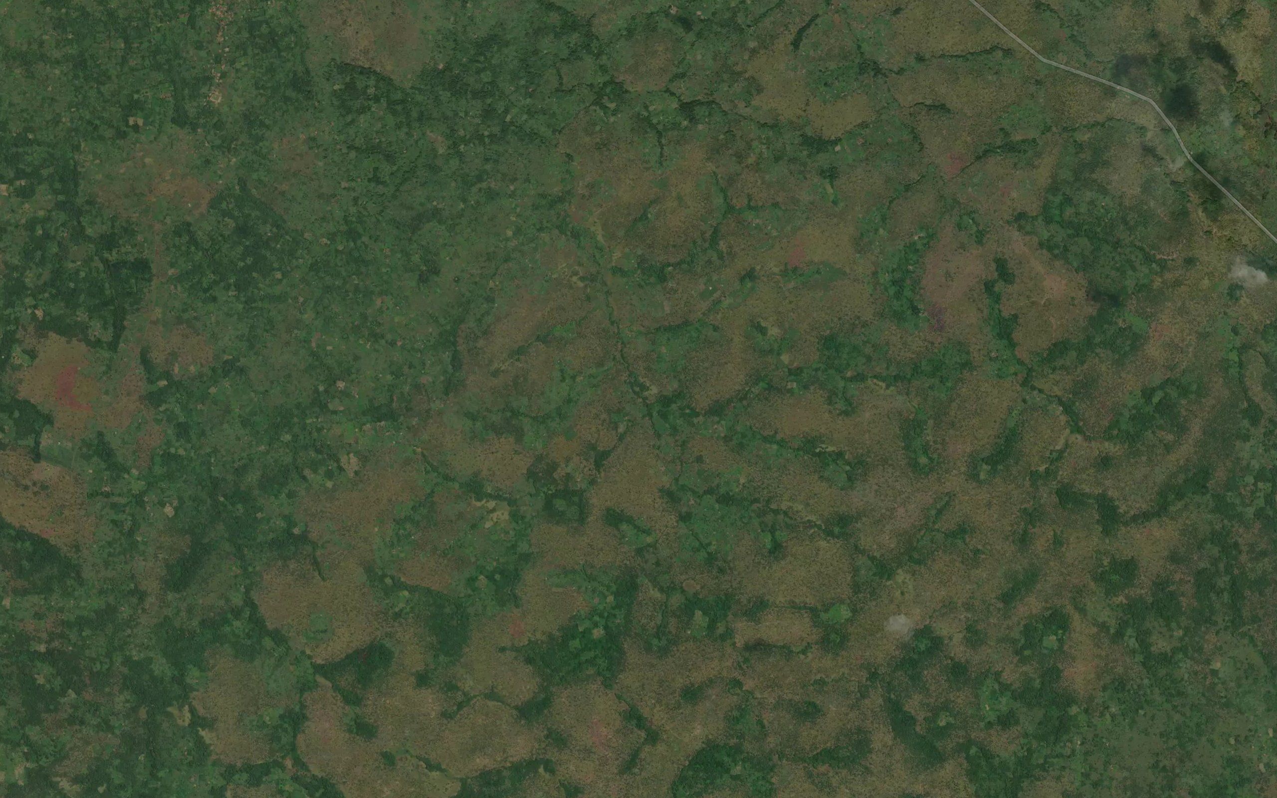 Agolabo