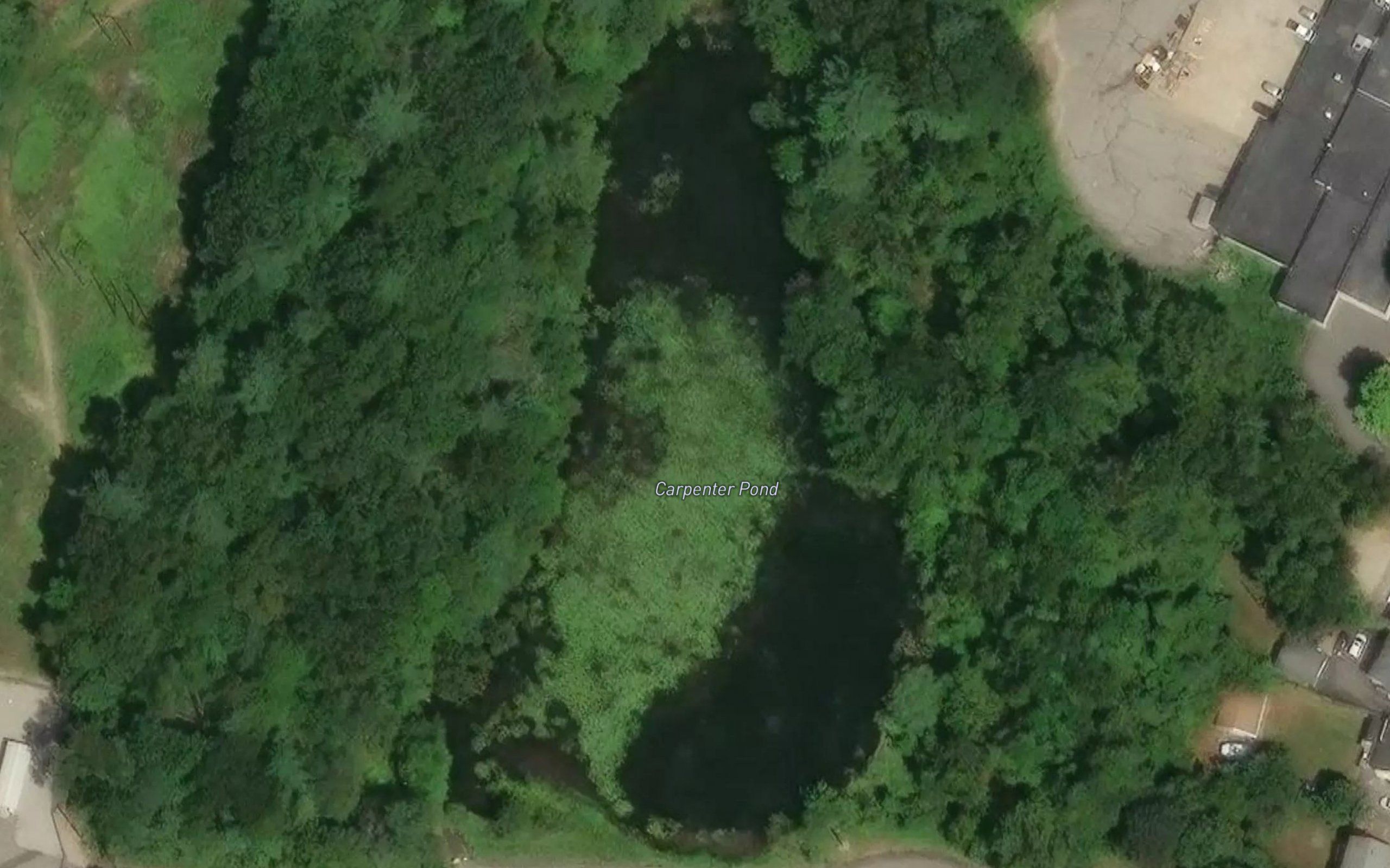 Carpenter Pond