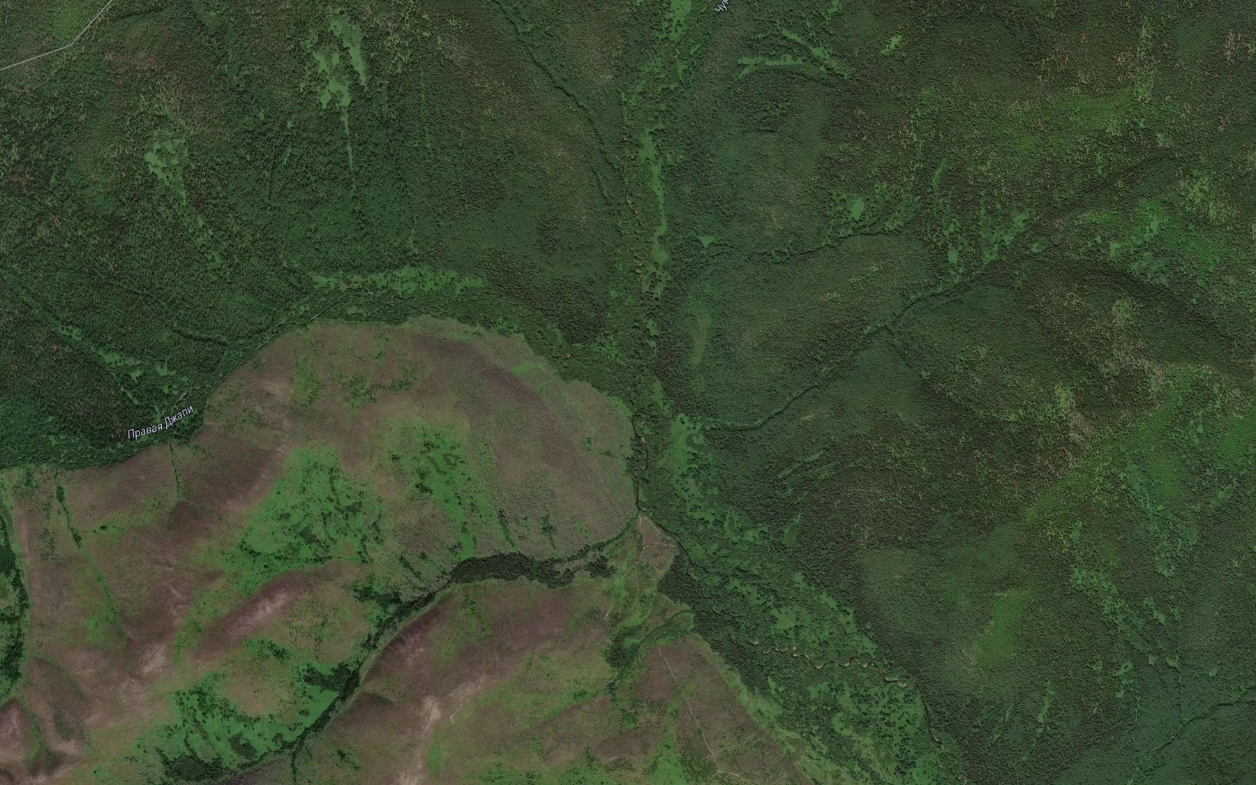 Satellite map of the Pravaya Dzhapi