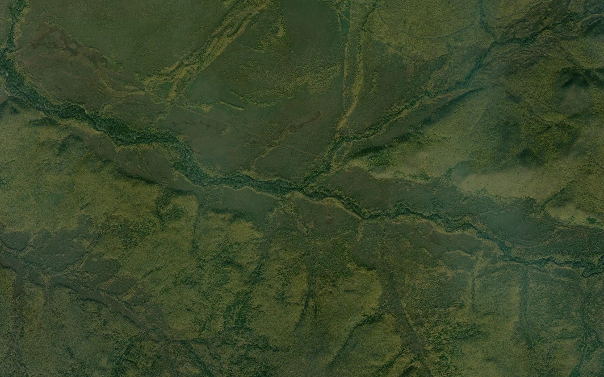 Dyurman