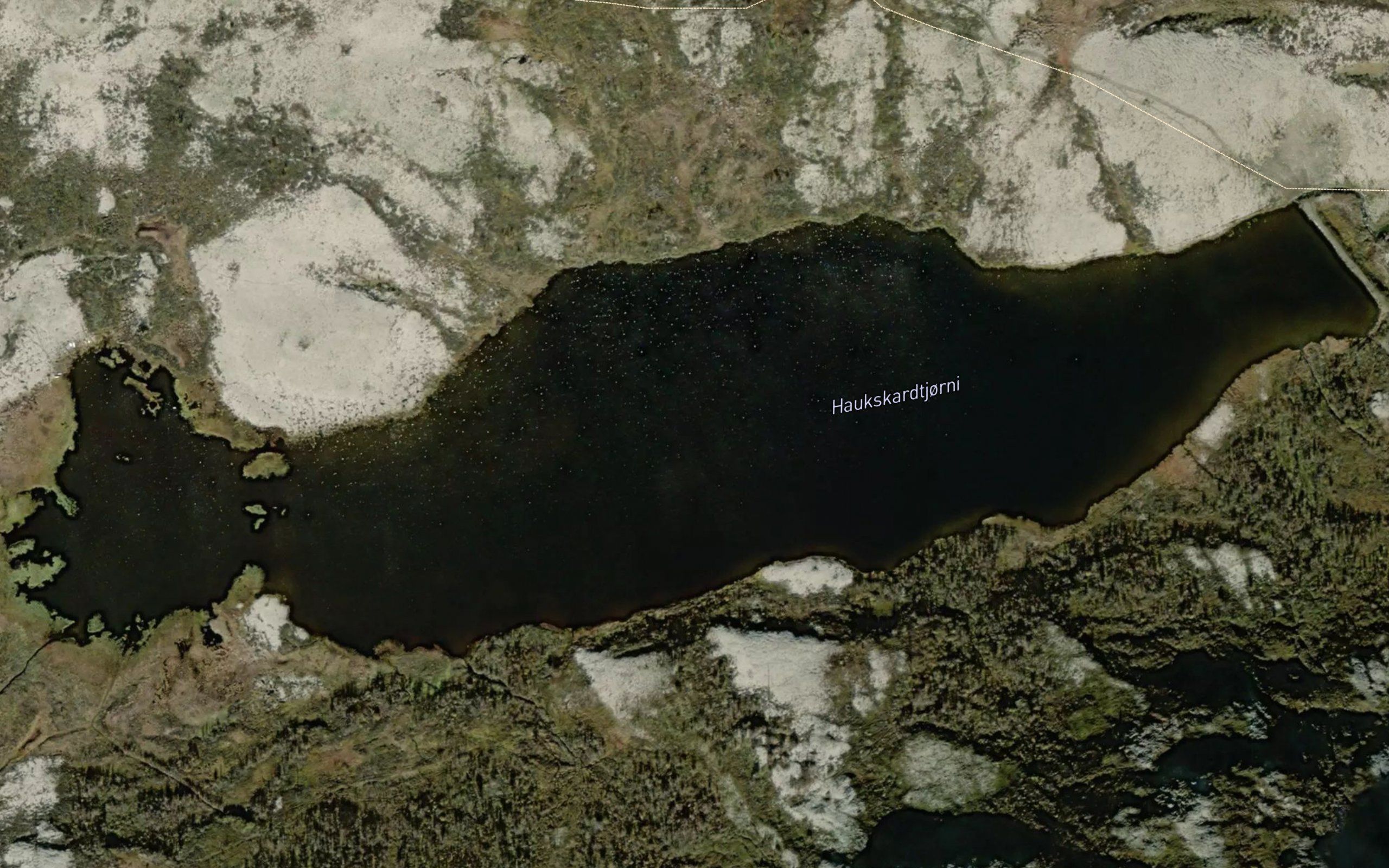 Haukskardtjorni