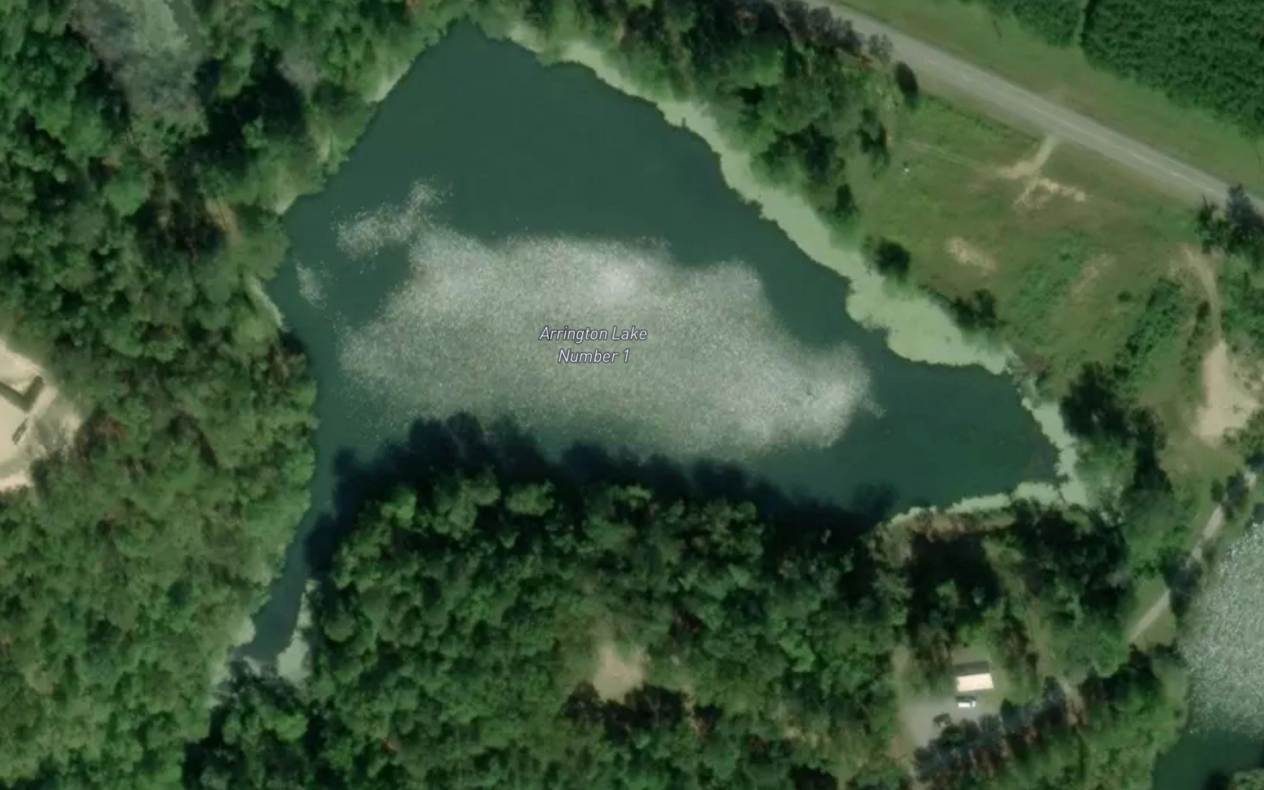 Arrington Lake Number 1