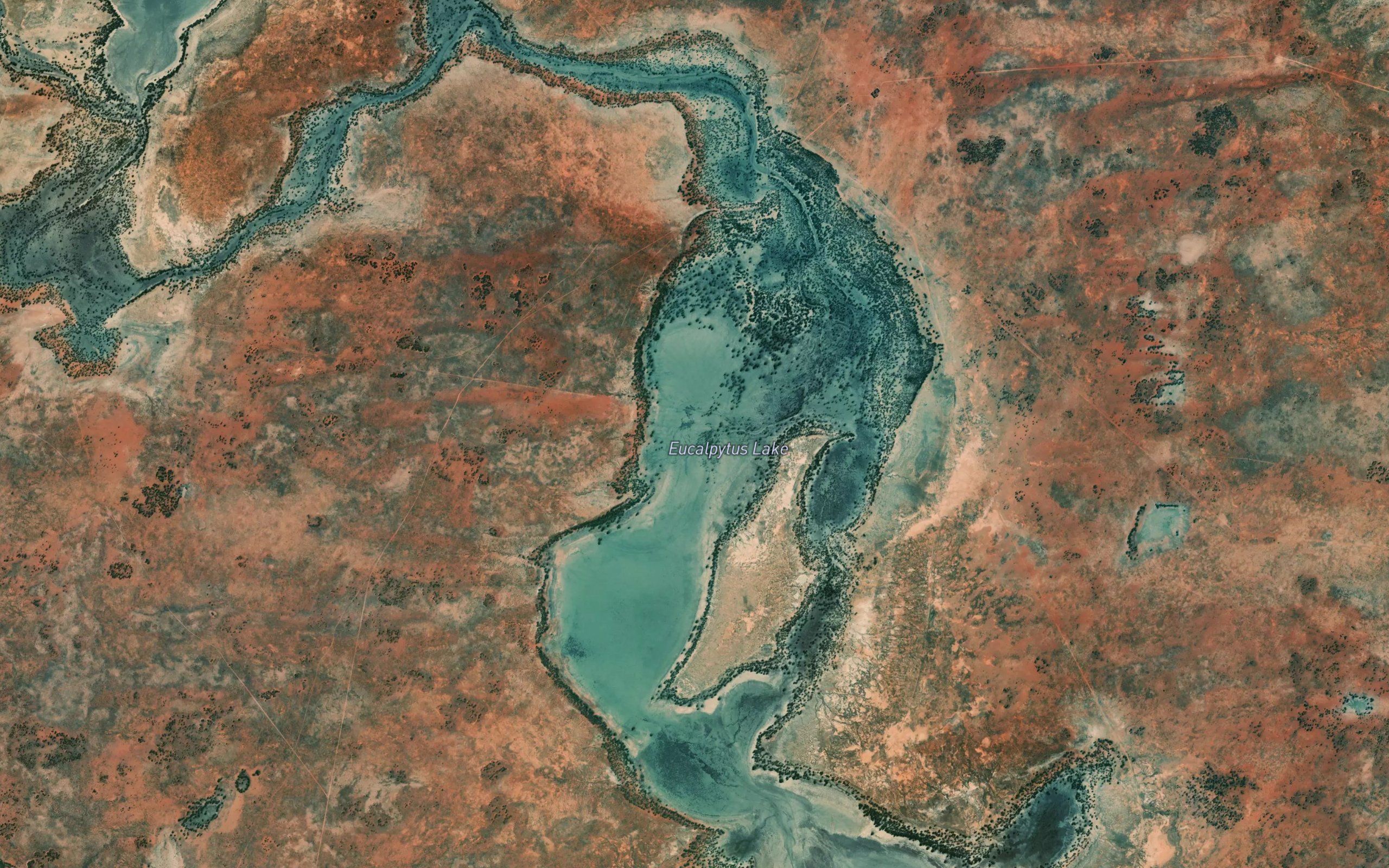 Eucalyptus Lake