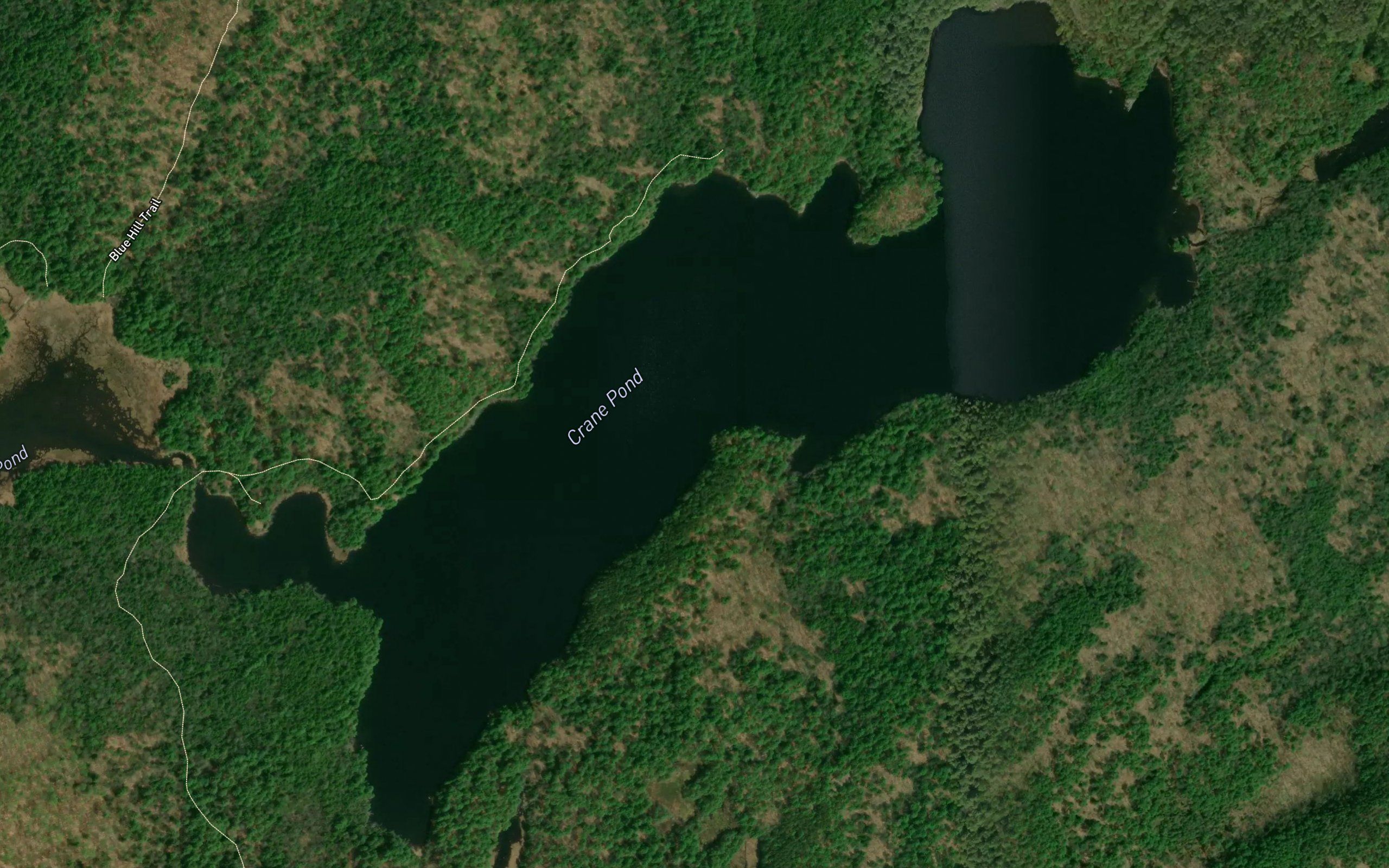 Crane Pond