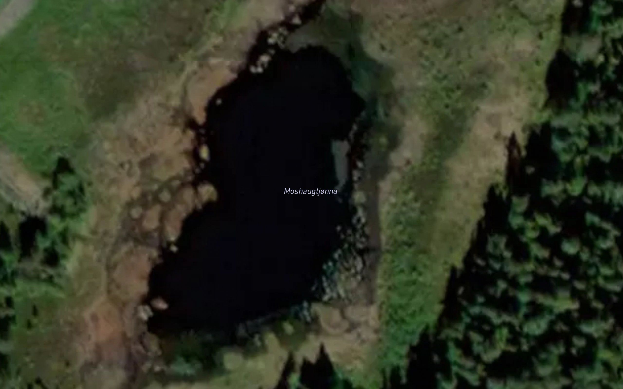 Moshaugtjonna