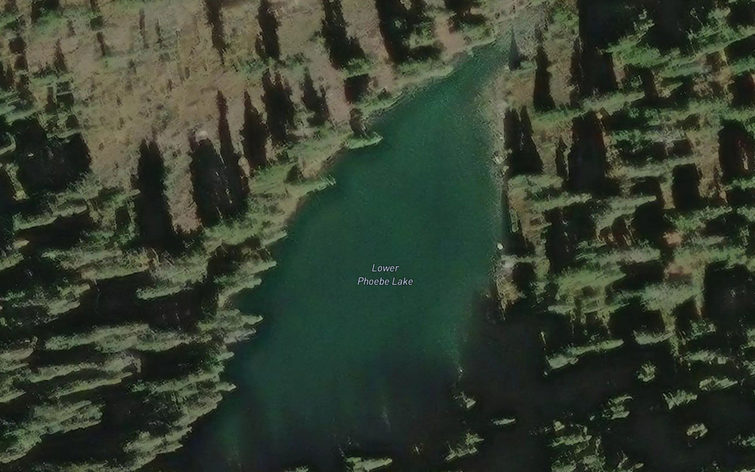 Lower Phoebe Lake