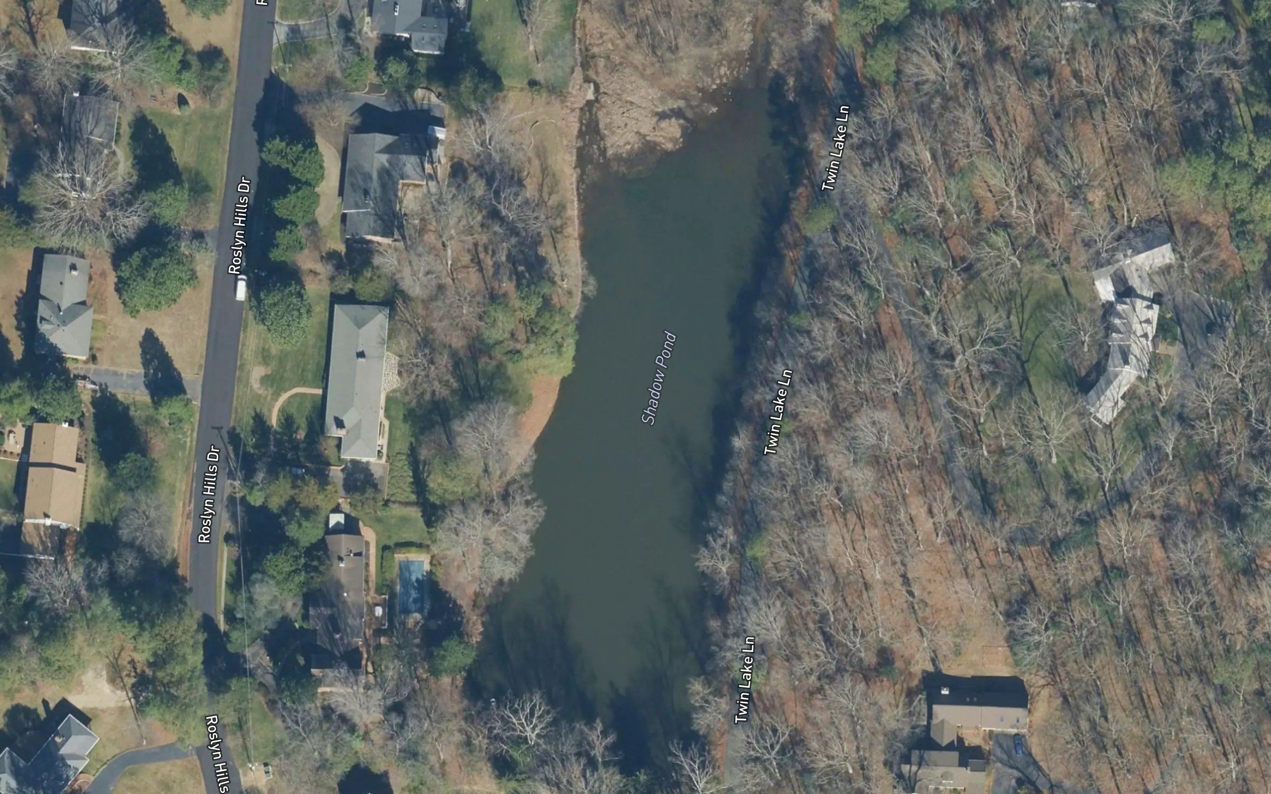 Shadow Pond