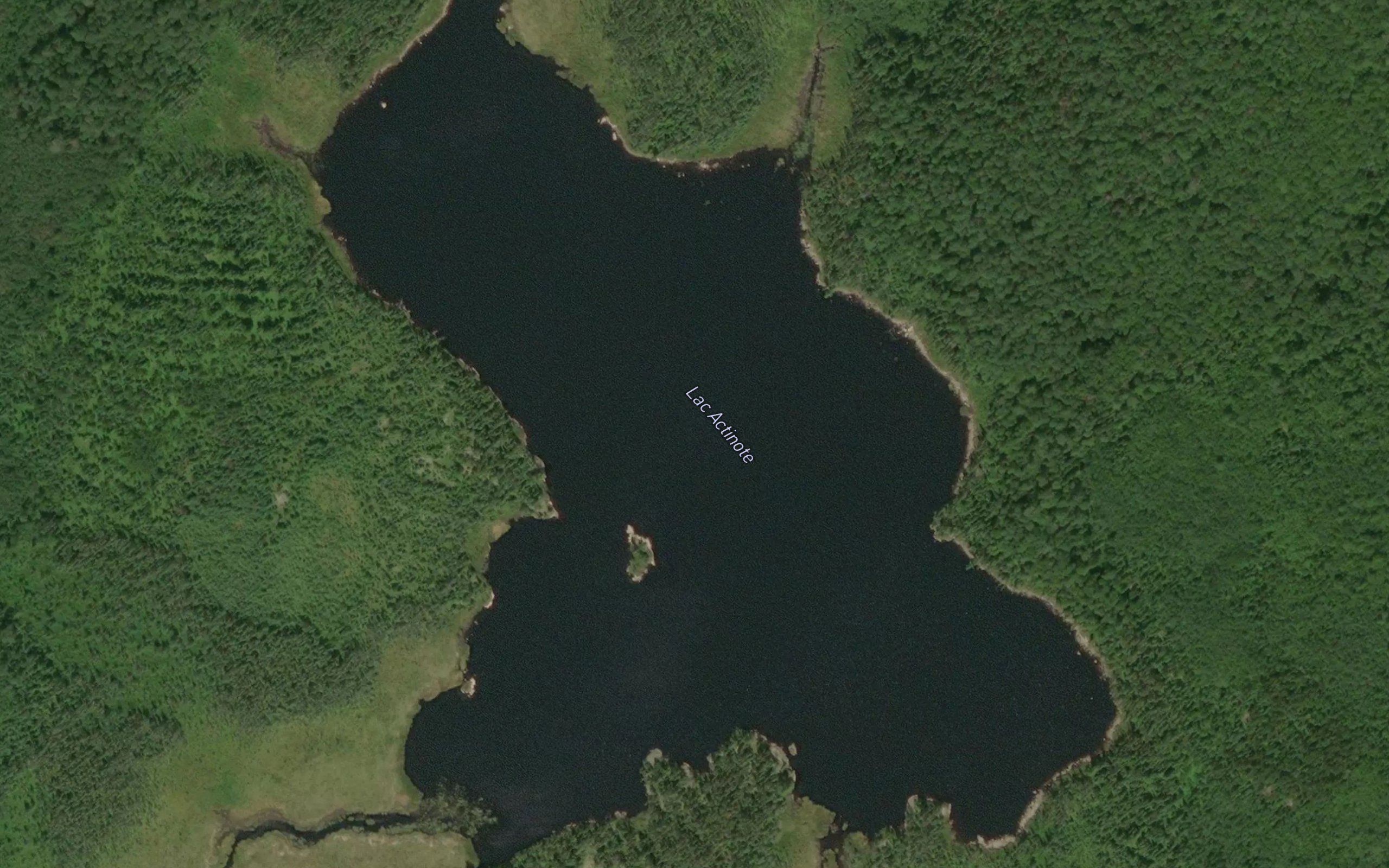 Lac Actinote