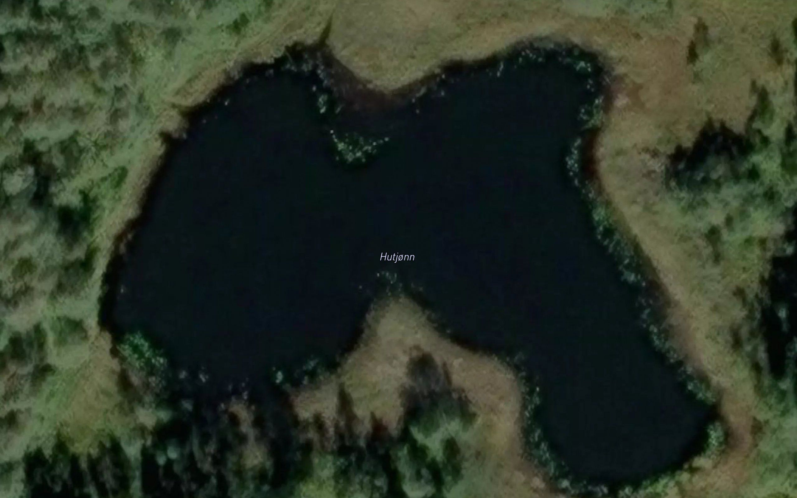 Hutjonn
