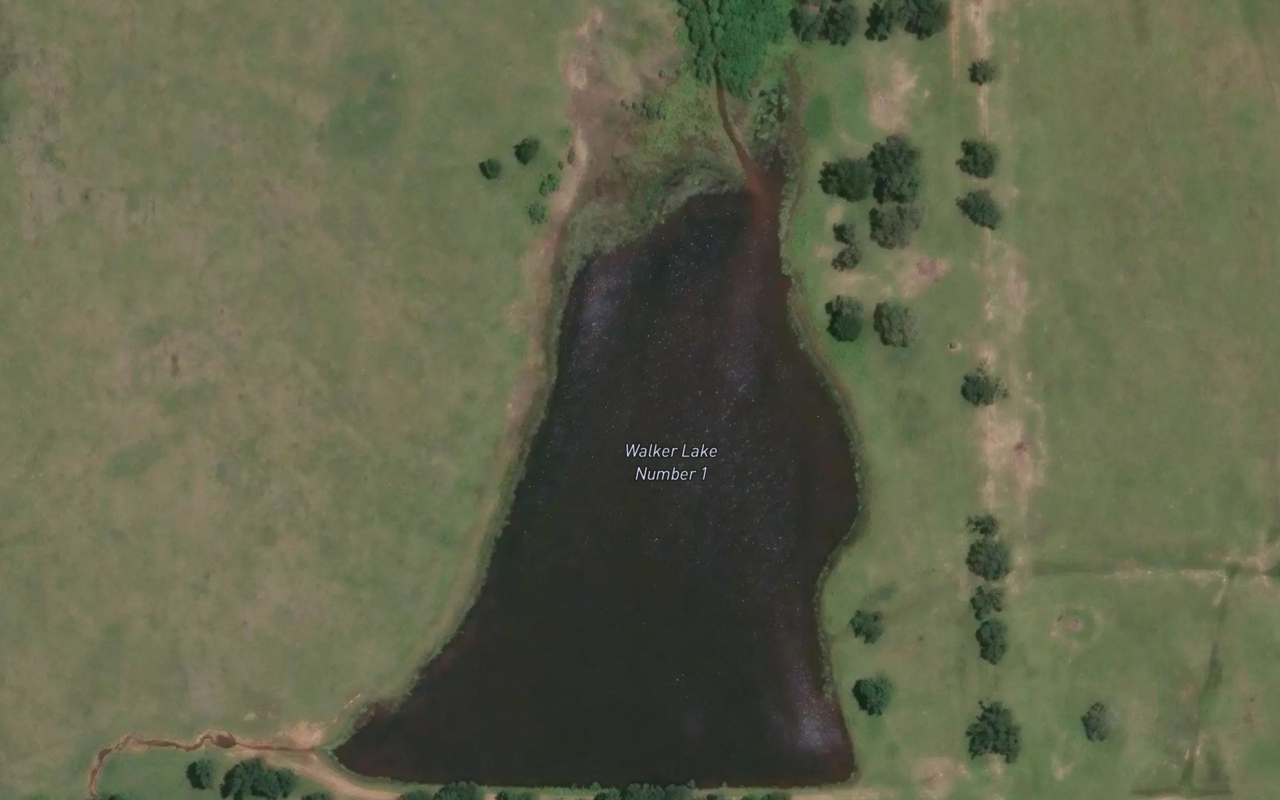 Satellite map of the Walker Lake Number 1