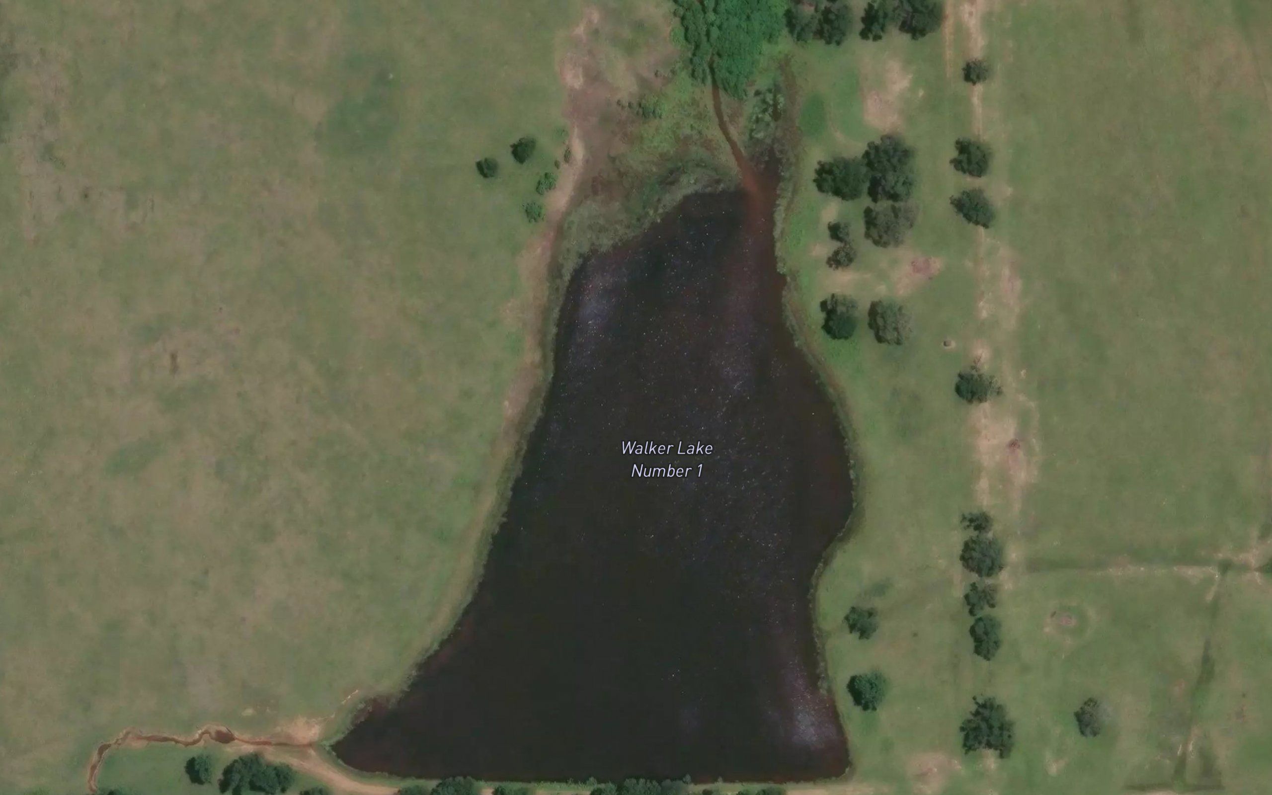 Walker Lake Number 1