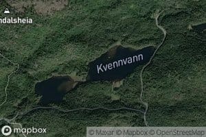 Kvennvann