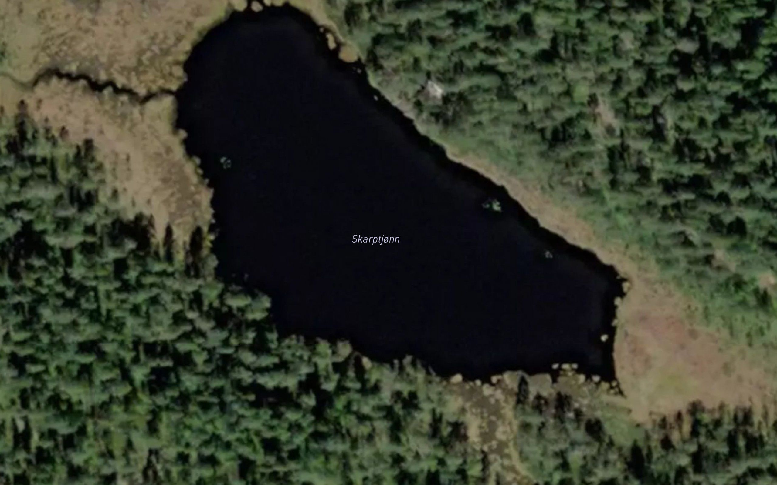 Skraptjorn
