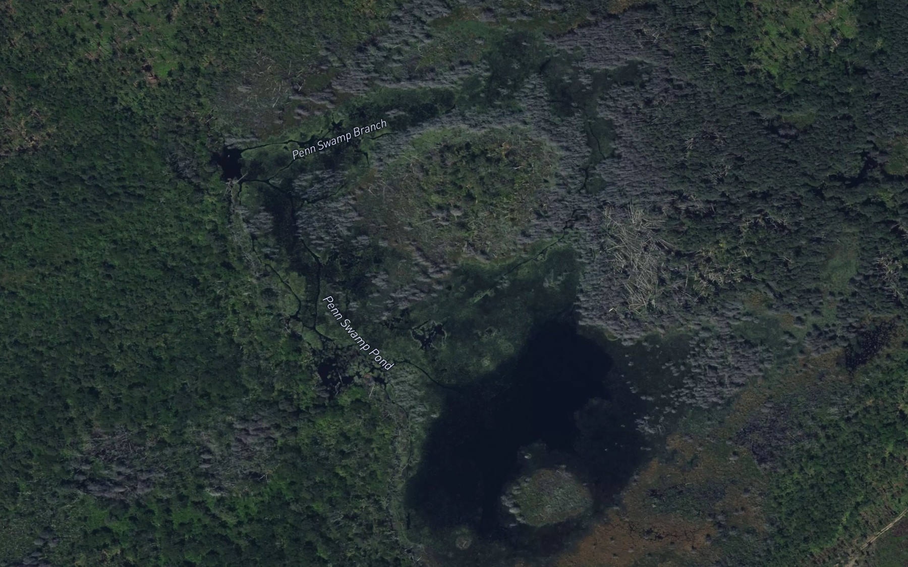Satellite map of the Penn Swamp Pond