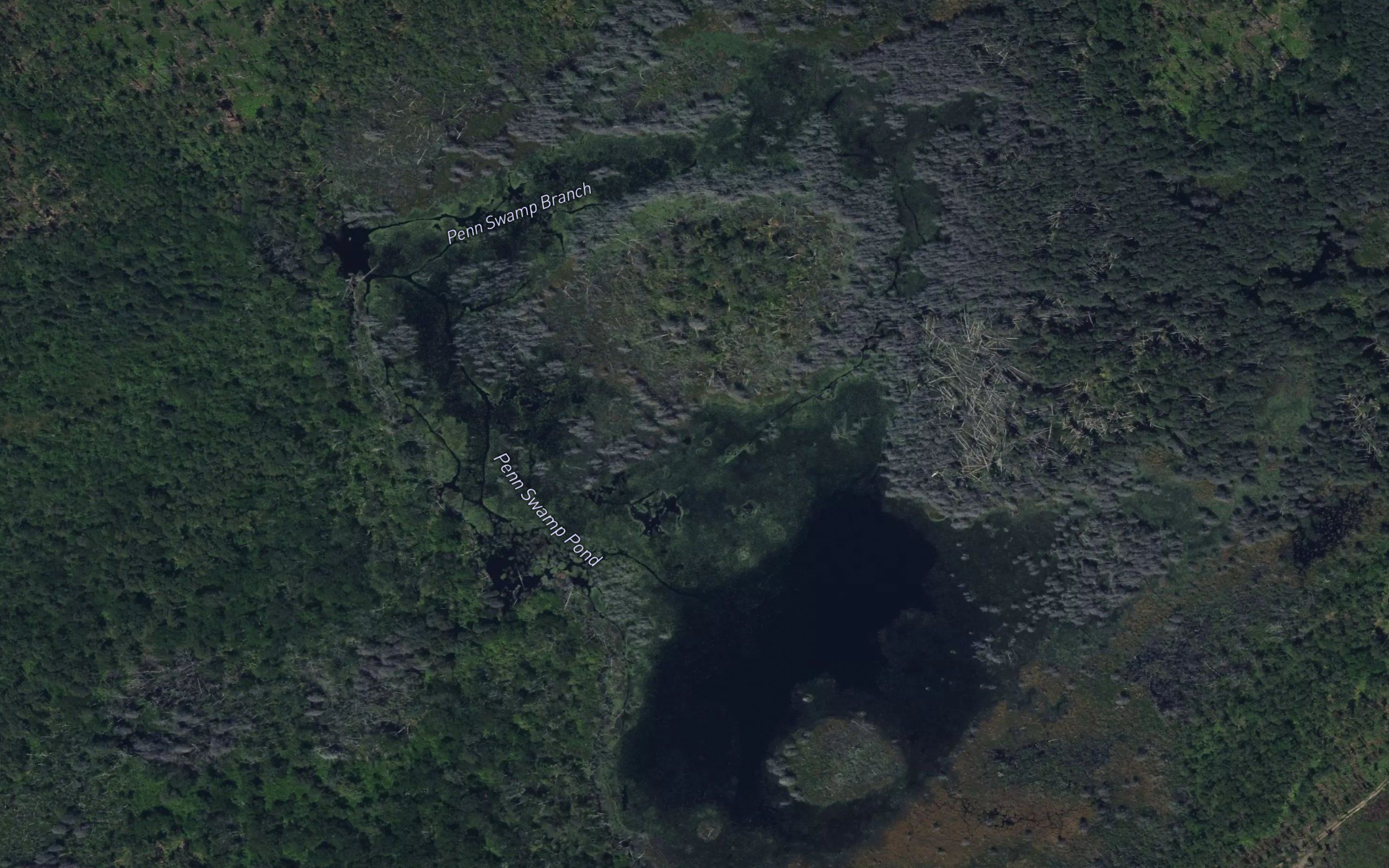 Penn Swamp Pond