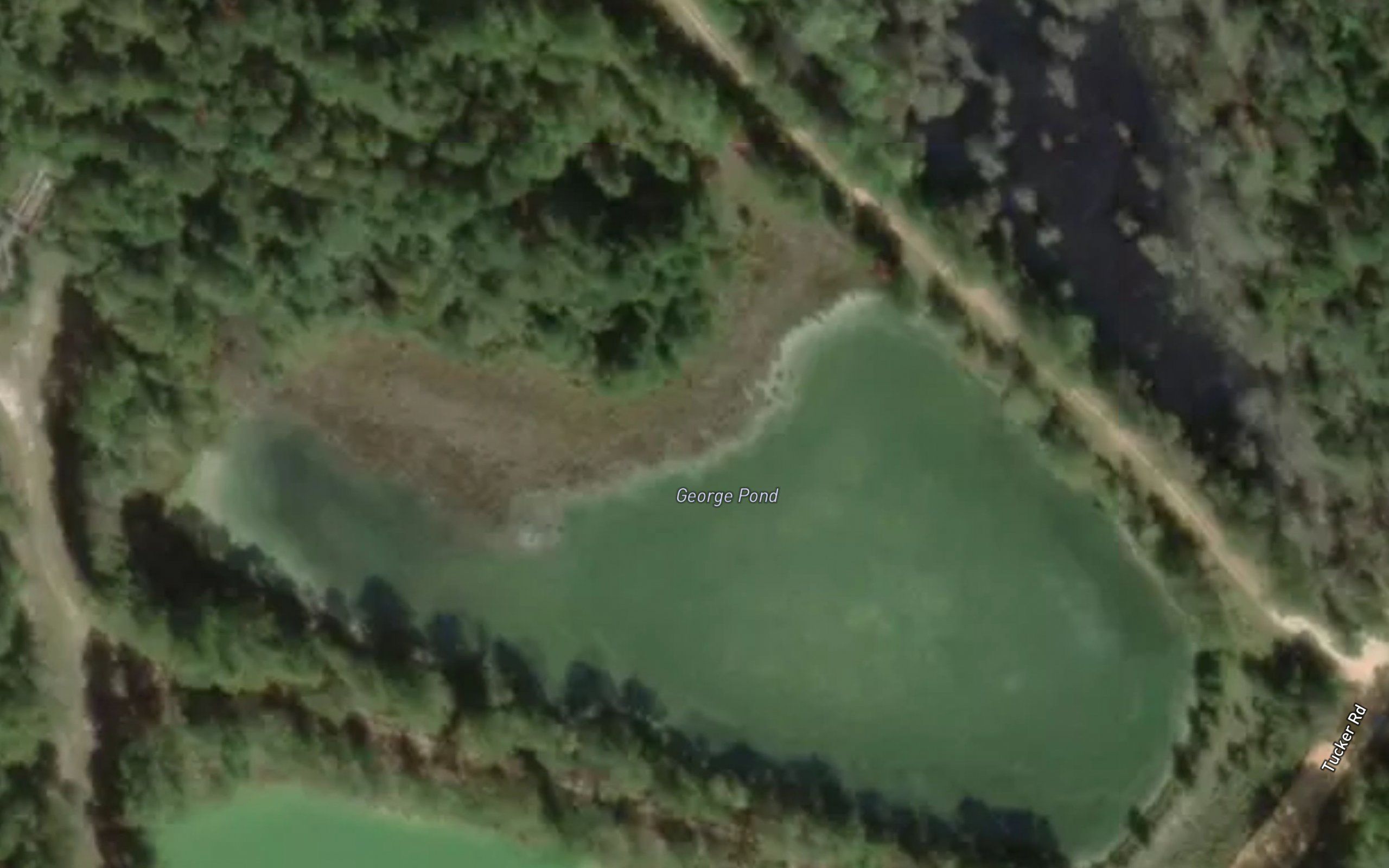 George Pond