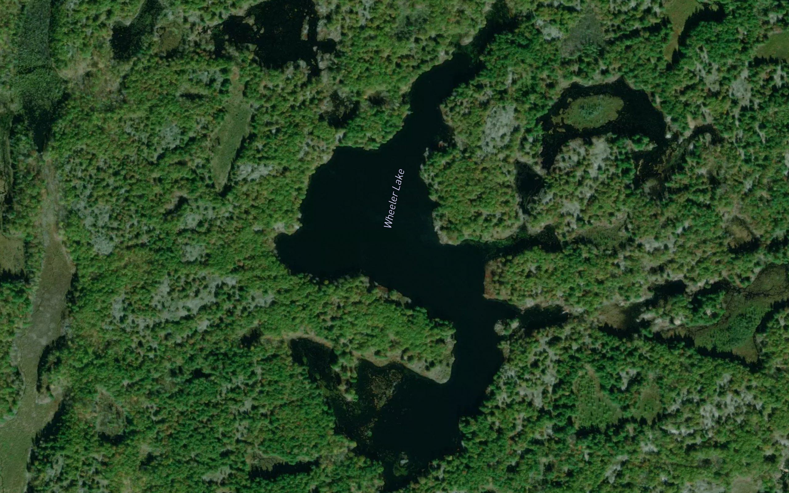 Wheeler Lake