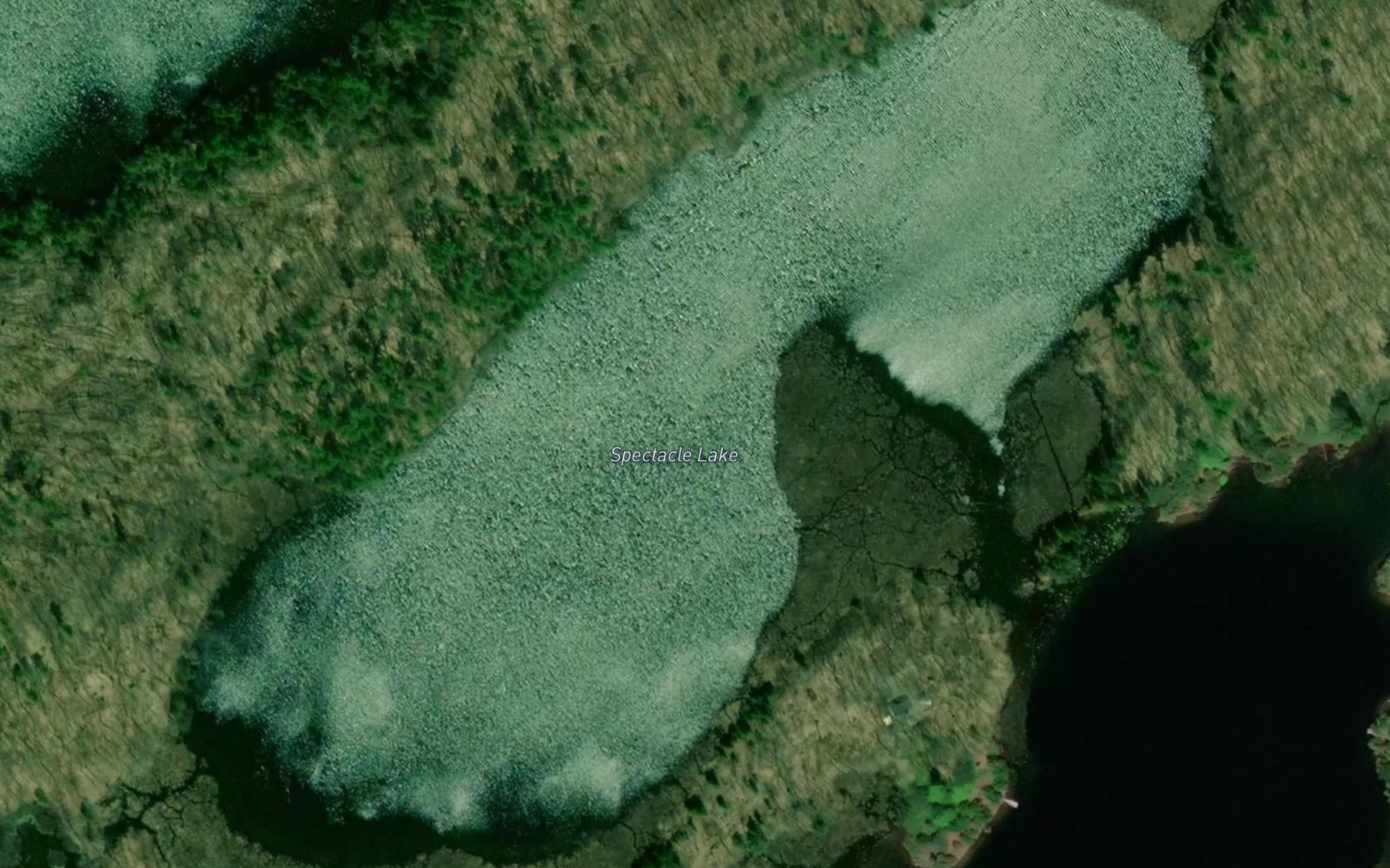Satellite map of the Spectacle Lake