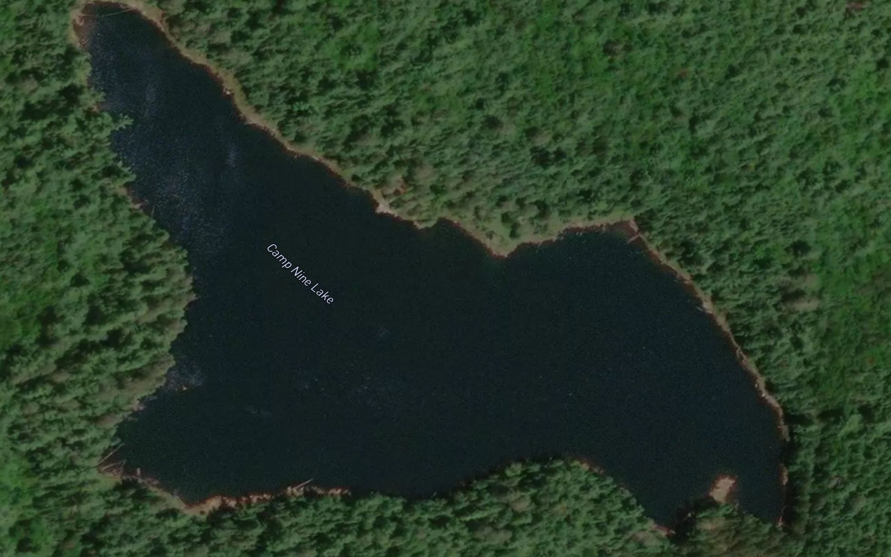 Satellite map of the Camp Nine Lake