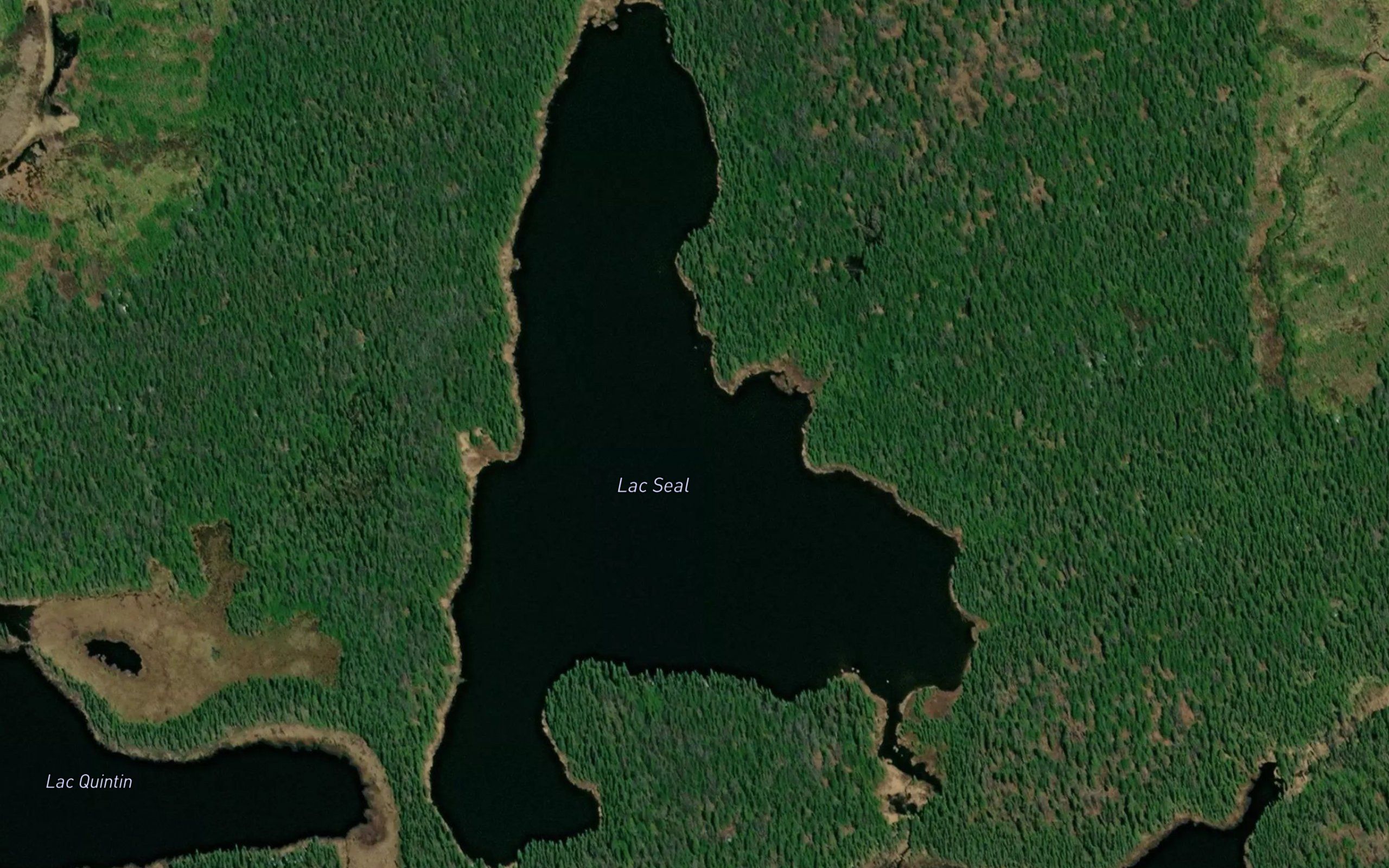 Lac Seal