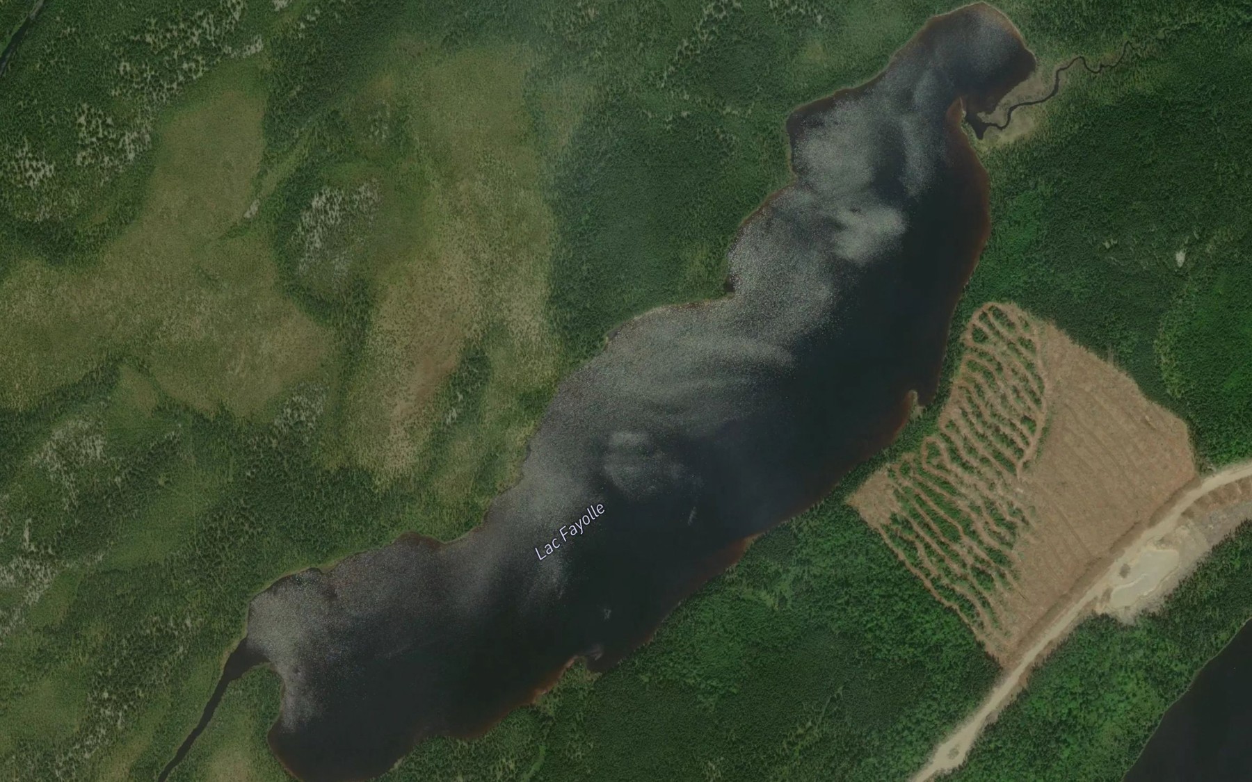 Satellite map of the Lac Fayolle