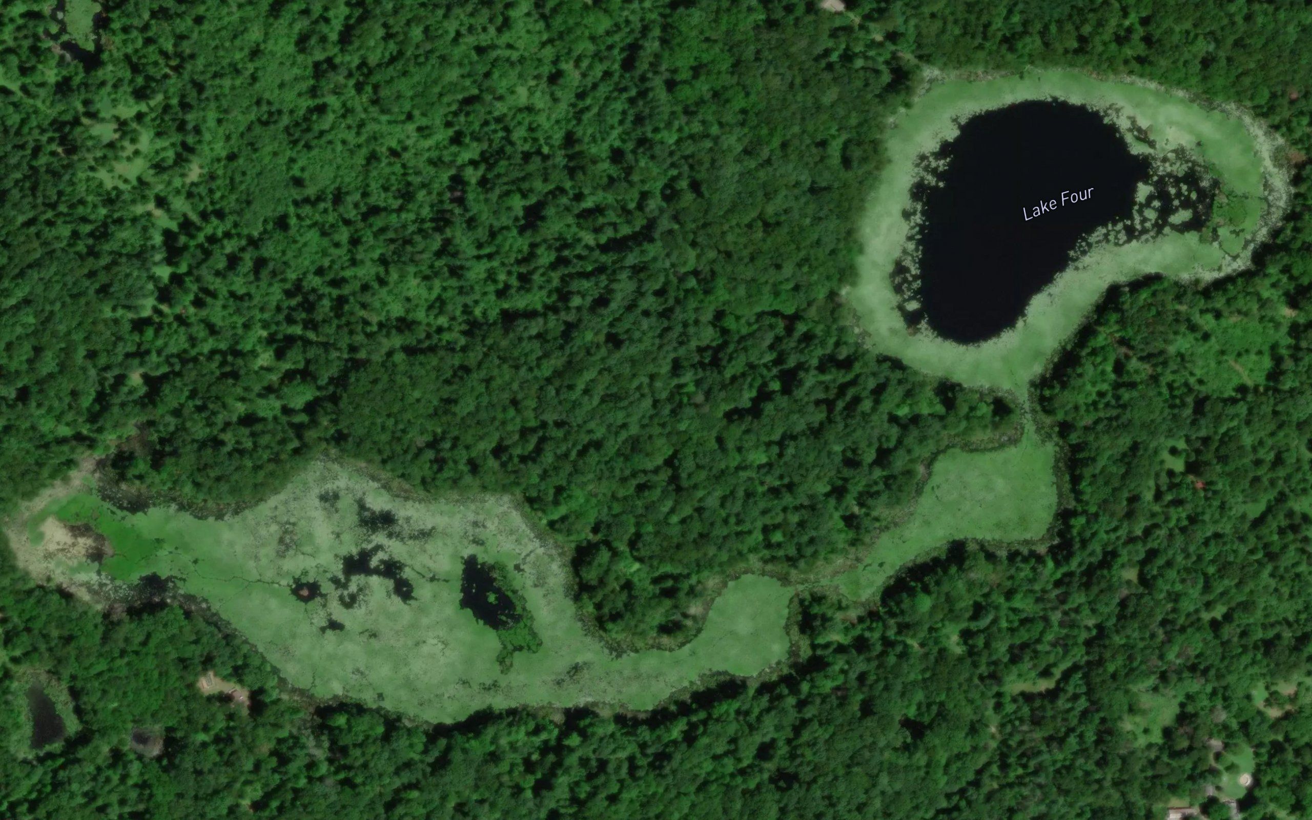 Lake Four