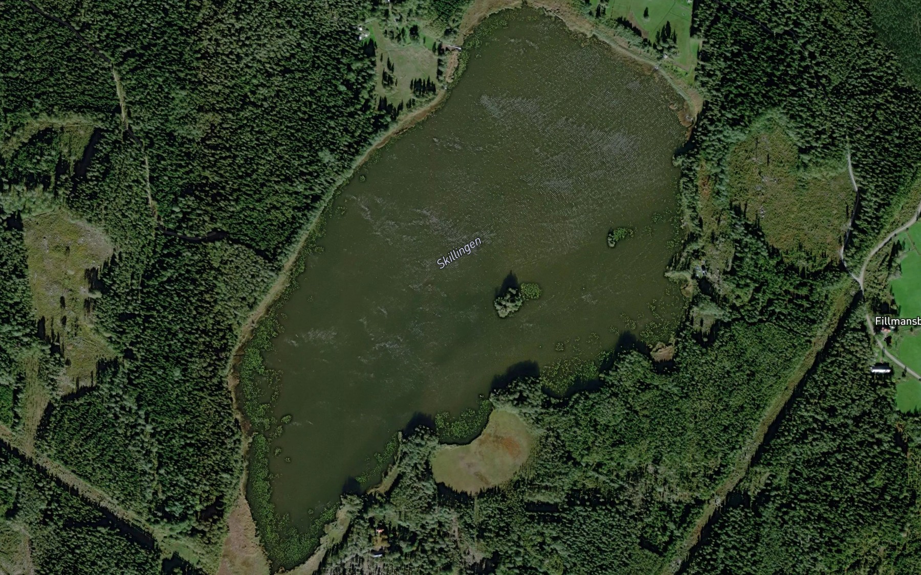 Satellite map of the Skillingen