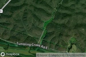Reece Spring