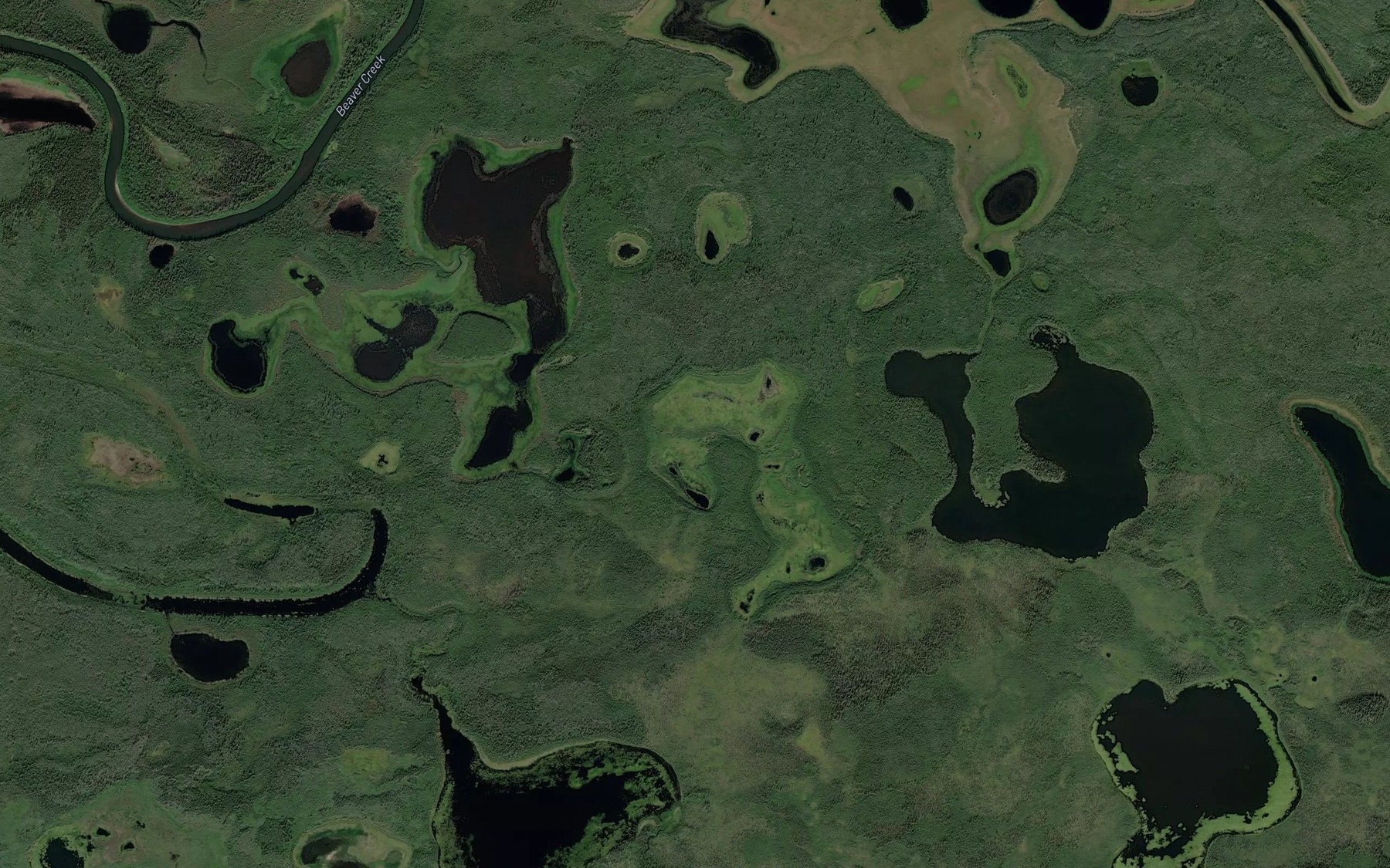 Satellite map of the Victor Lake