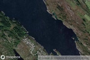 Arasvagen