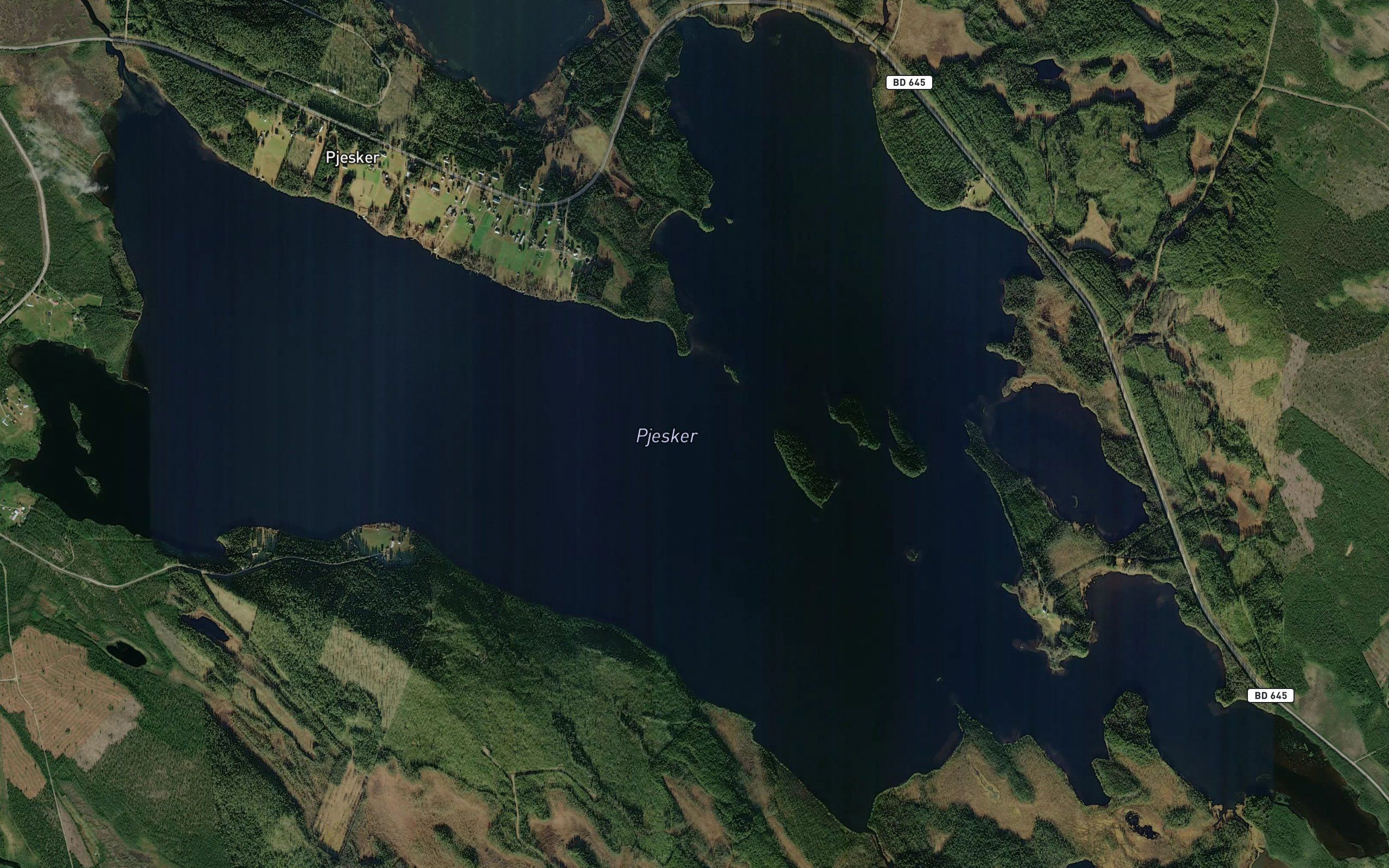 Pjesker