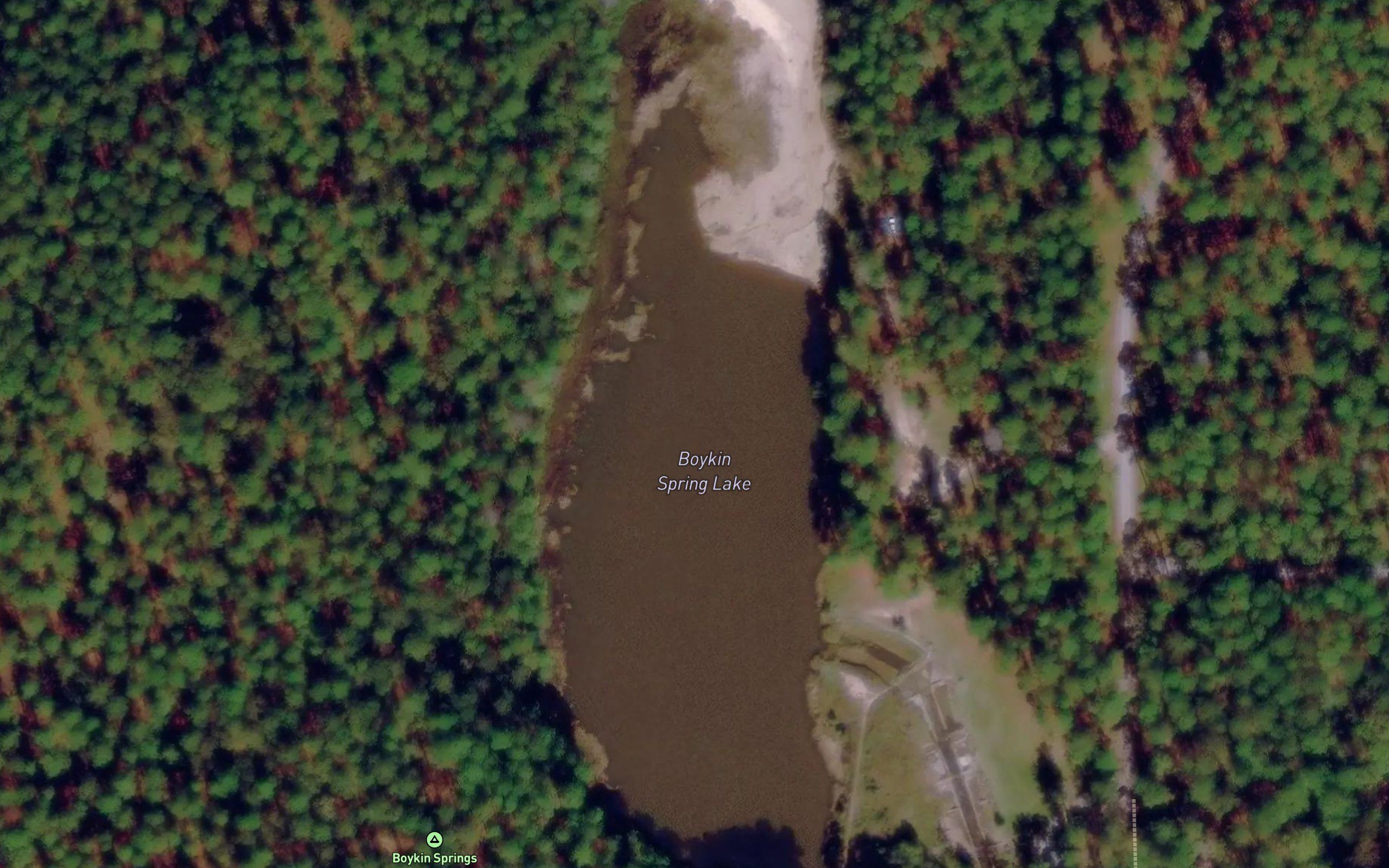 Boykin Spring Lake