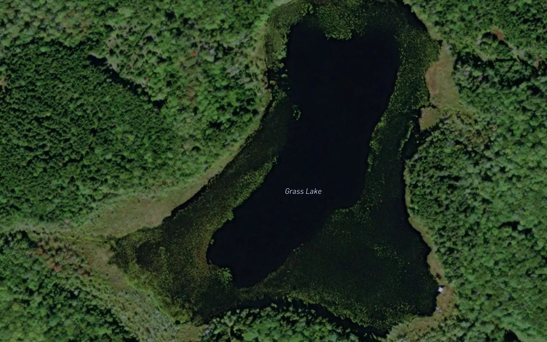 Satellite map of the Grass Lake