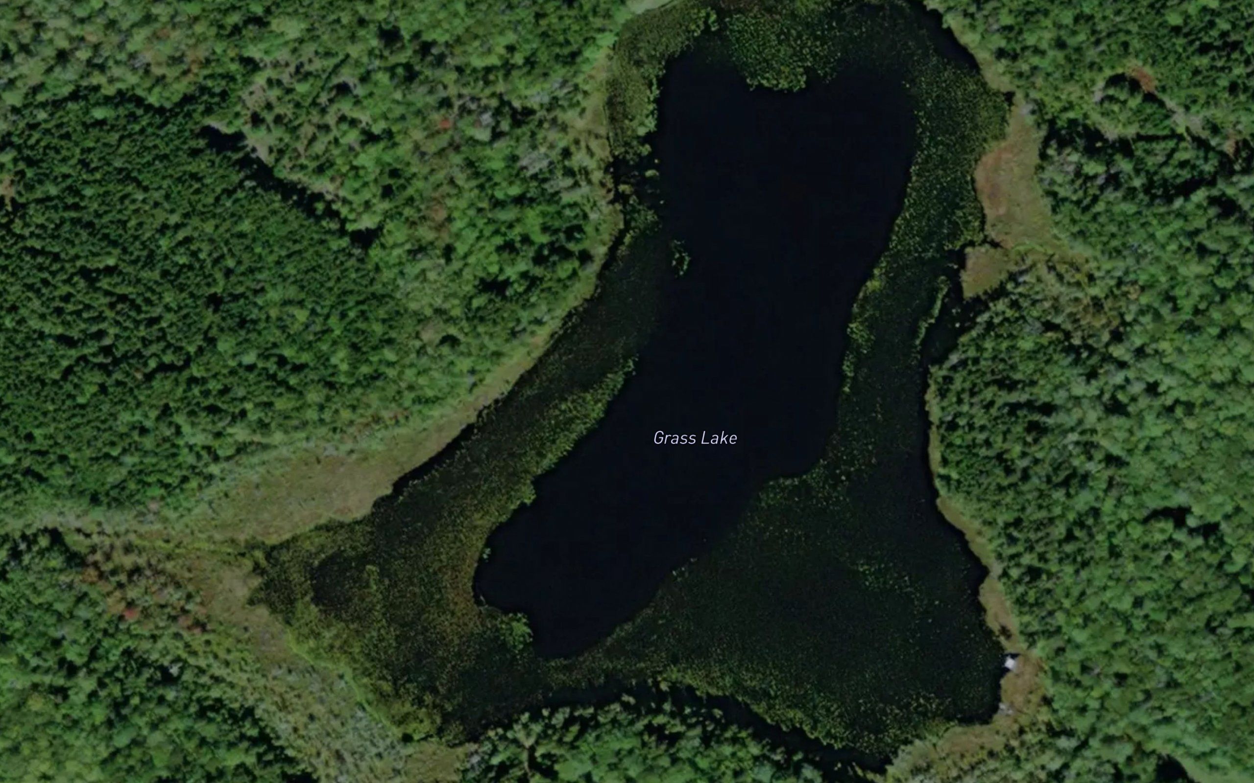 Grass Lake
