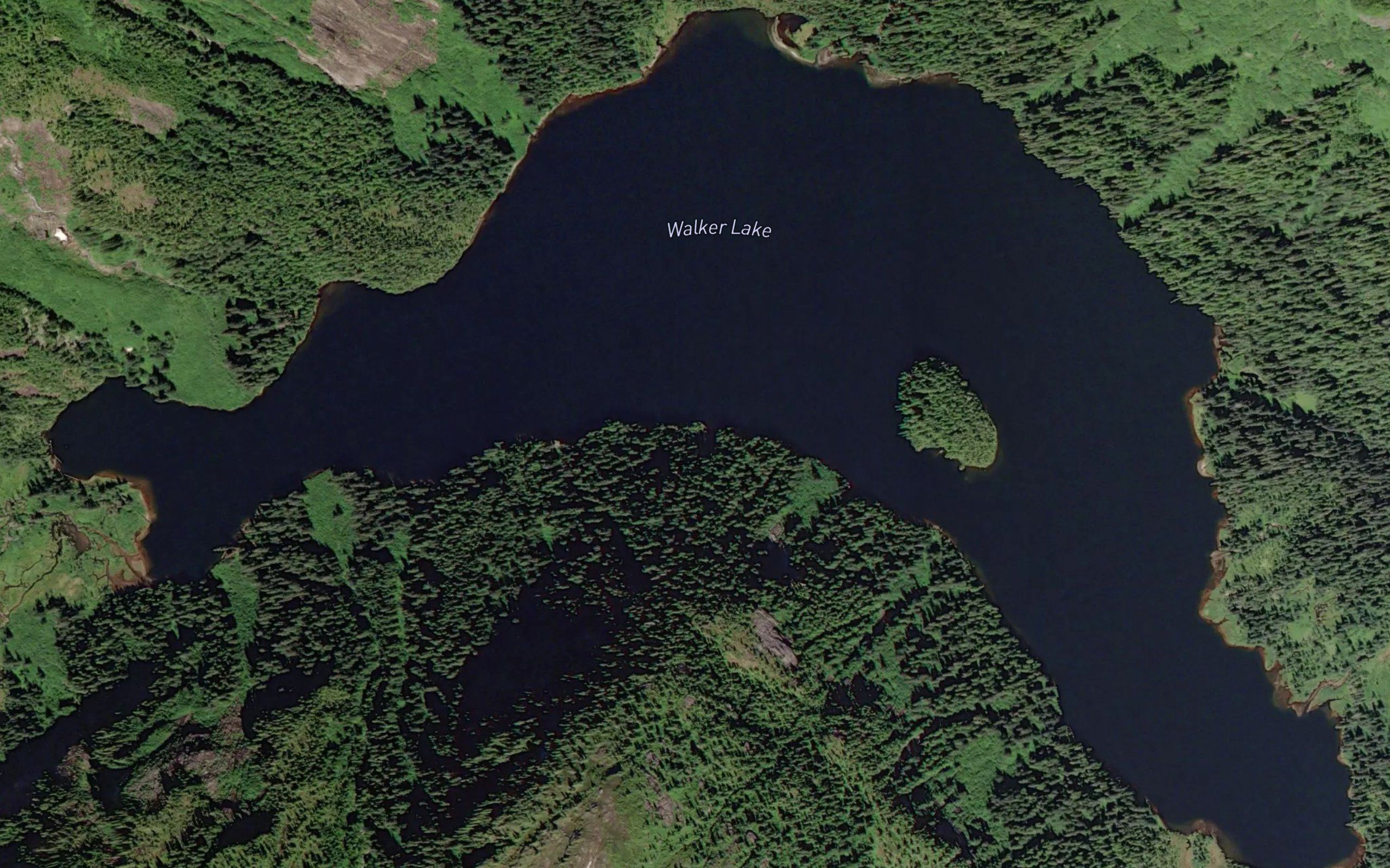 Walker Lake