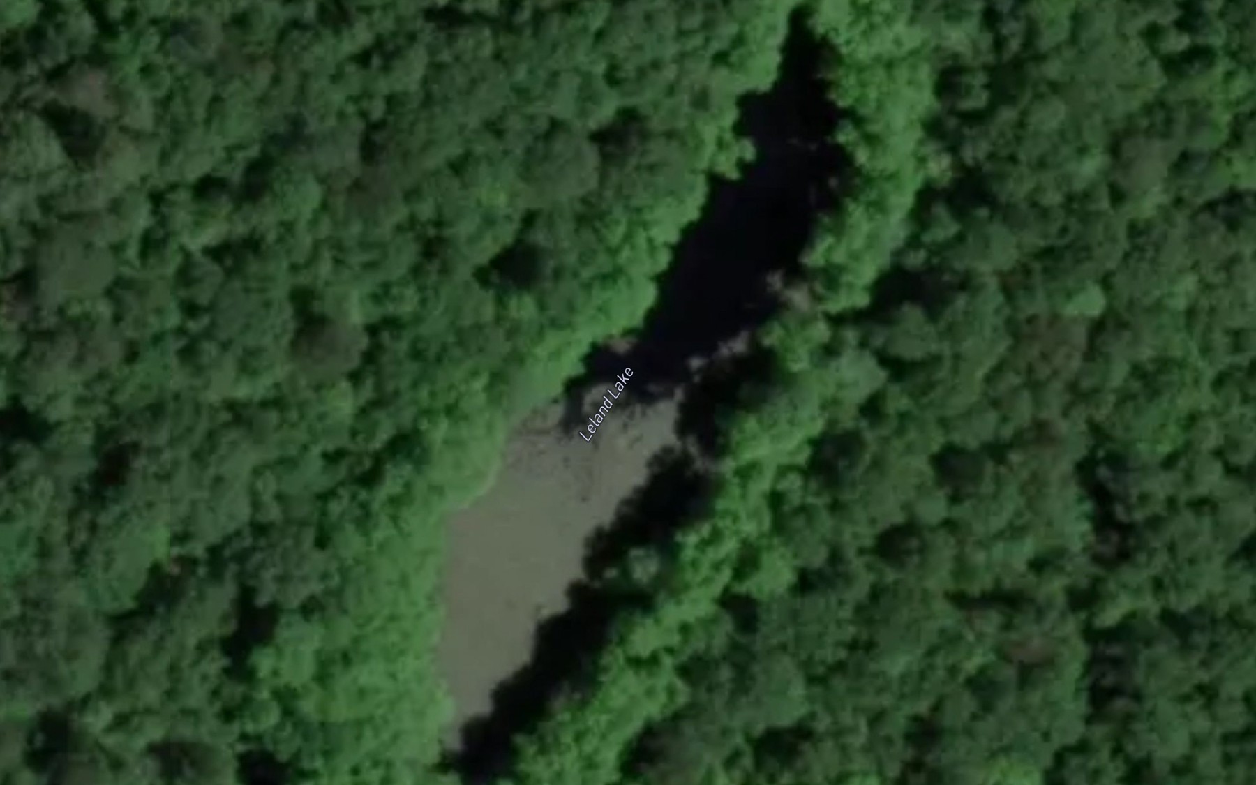 Satellite map of the Leland Lake
