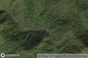 Louisa Spring Branch