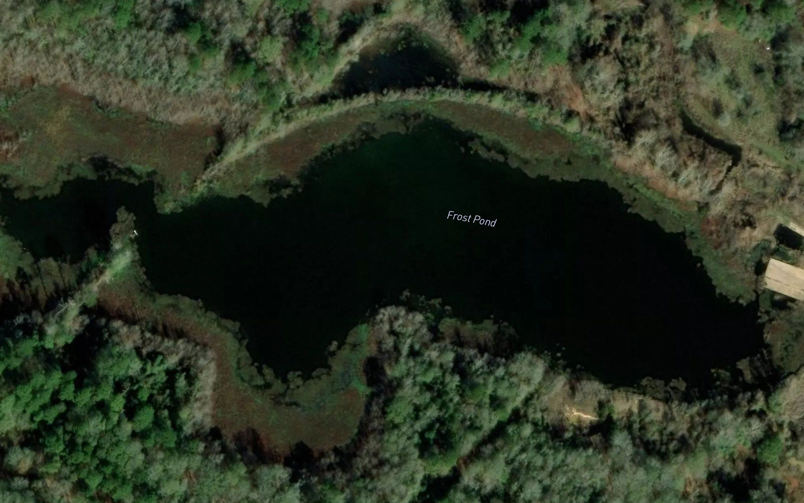 Frost Pond