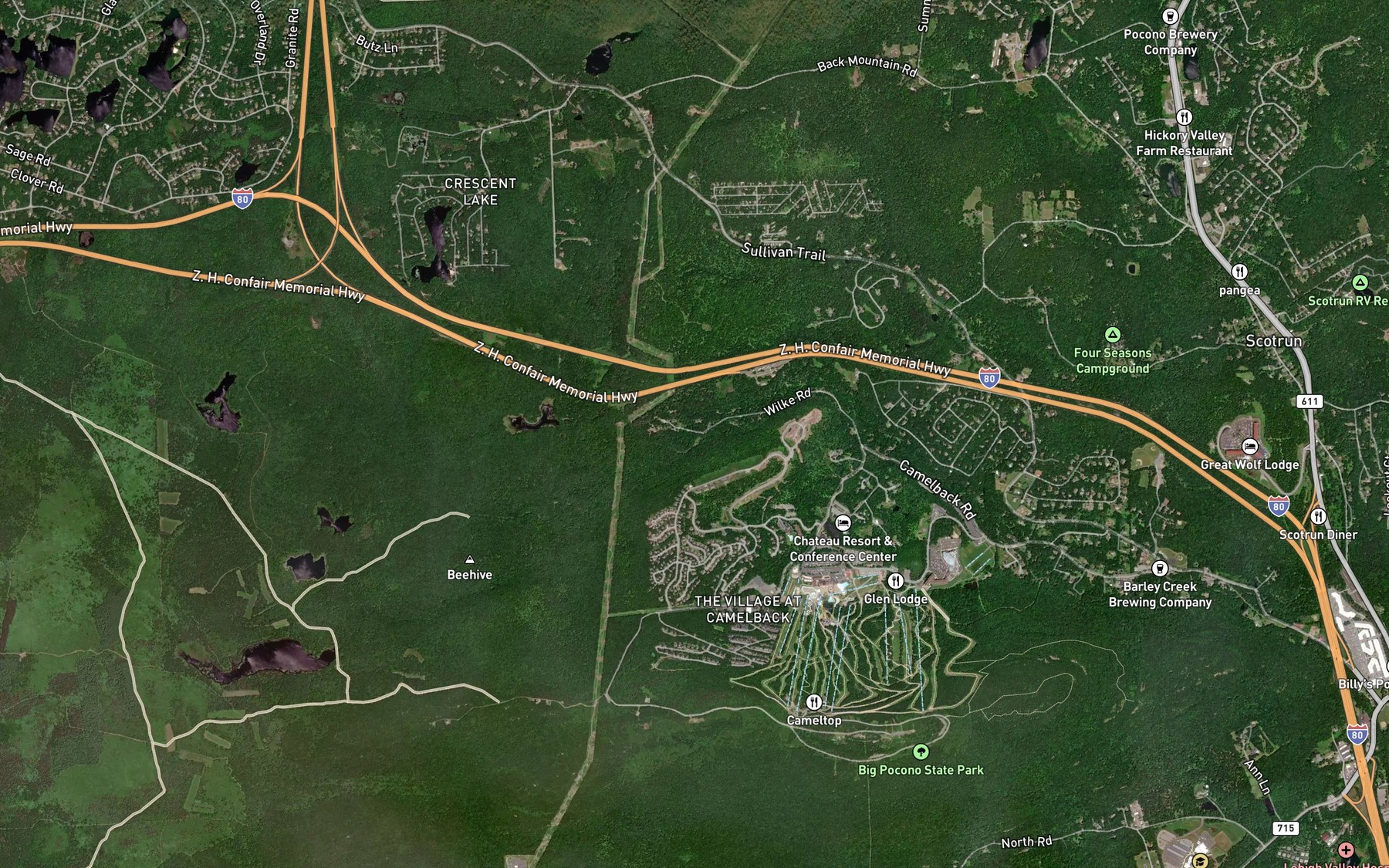 Satellite map of the Wolf Swamp Run