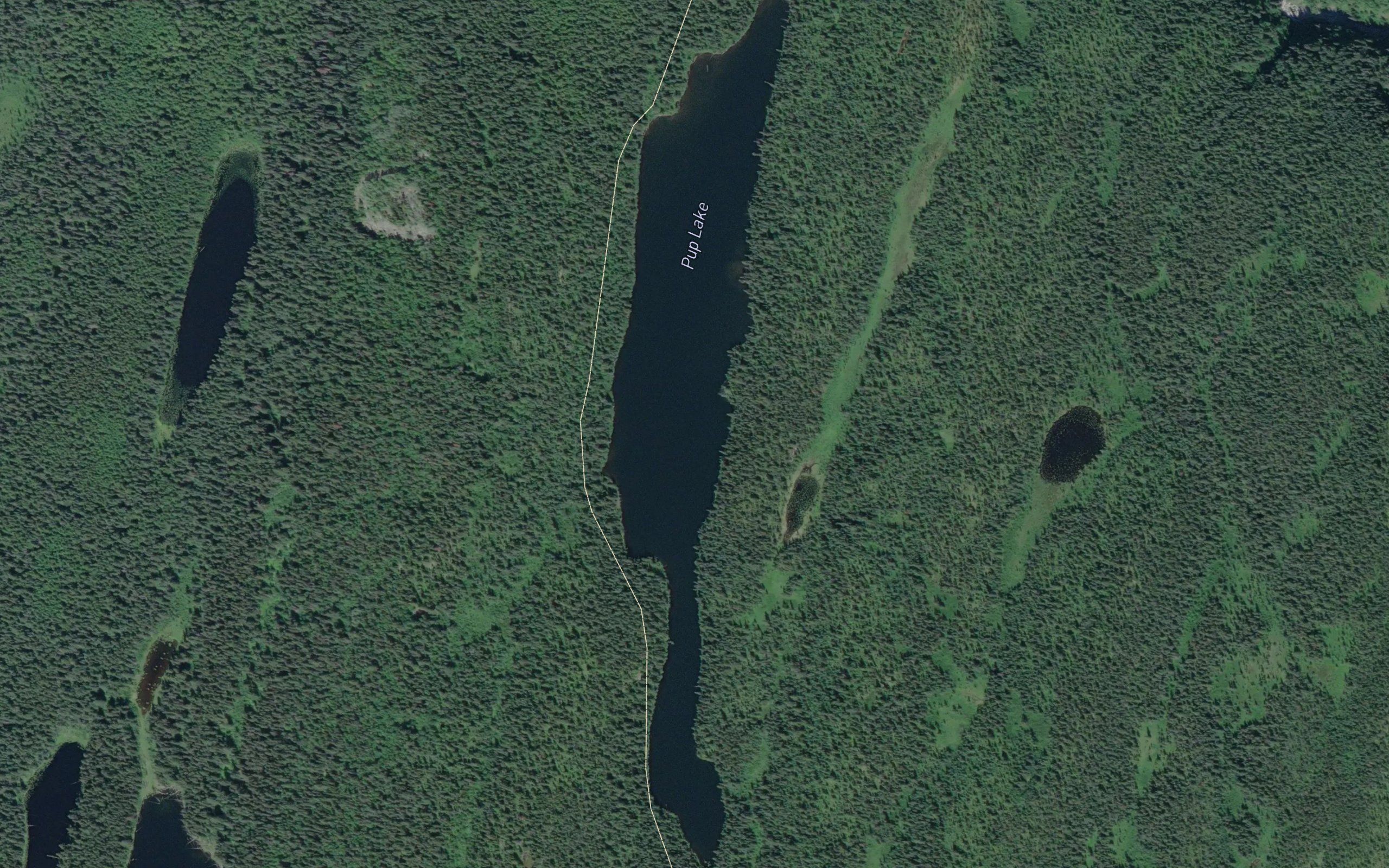 Pup Lake