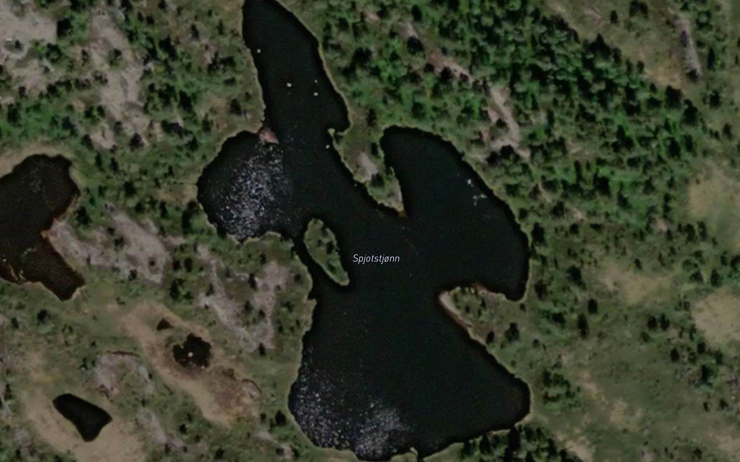 Spjotstjorn