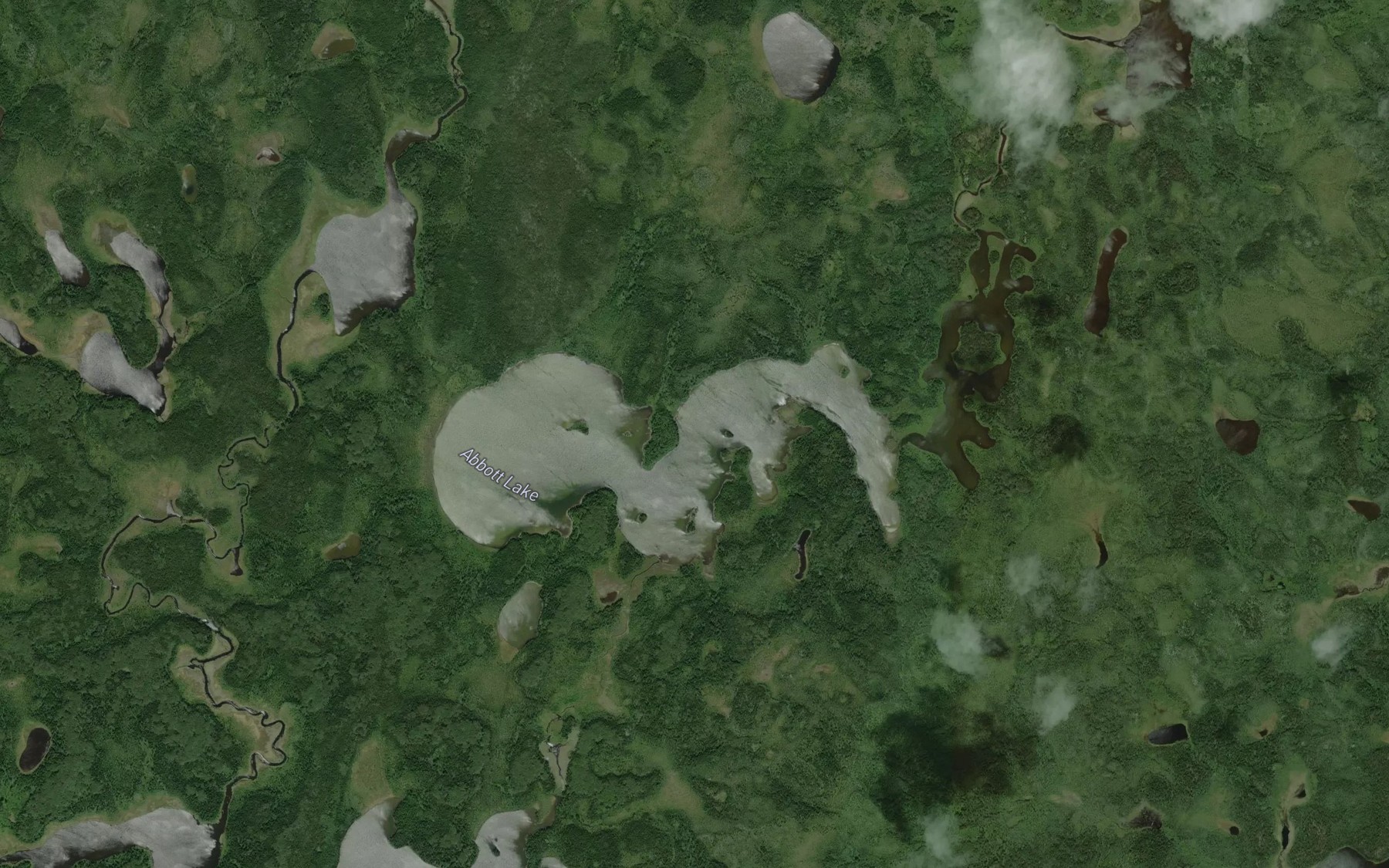 Satellite map of the Abbott Lake