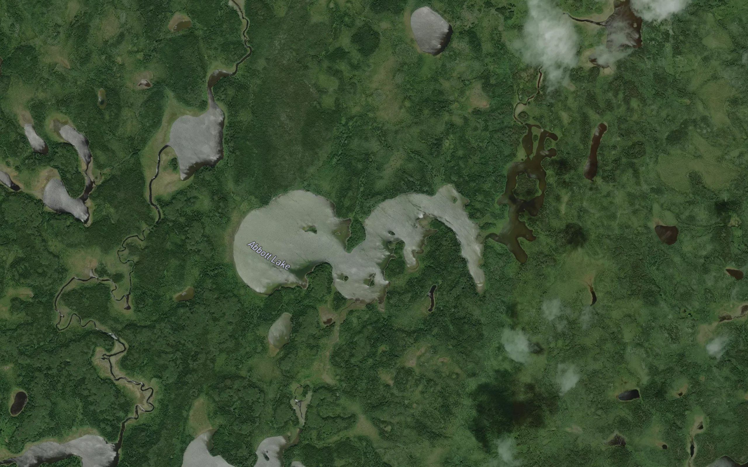Abbott Lake