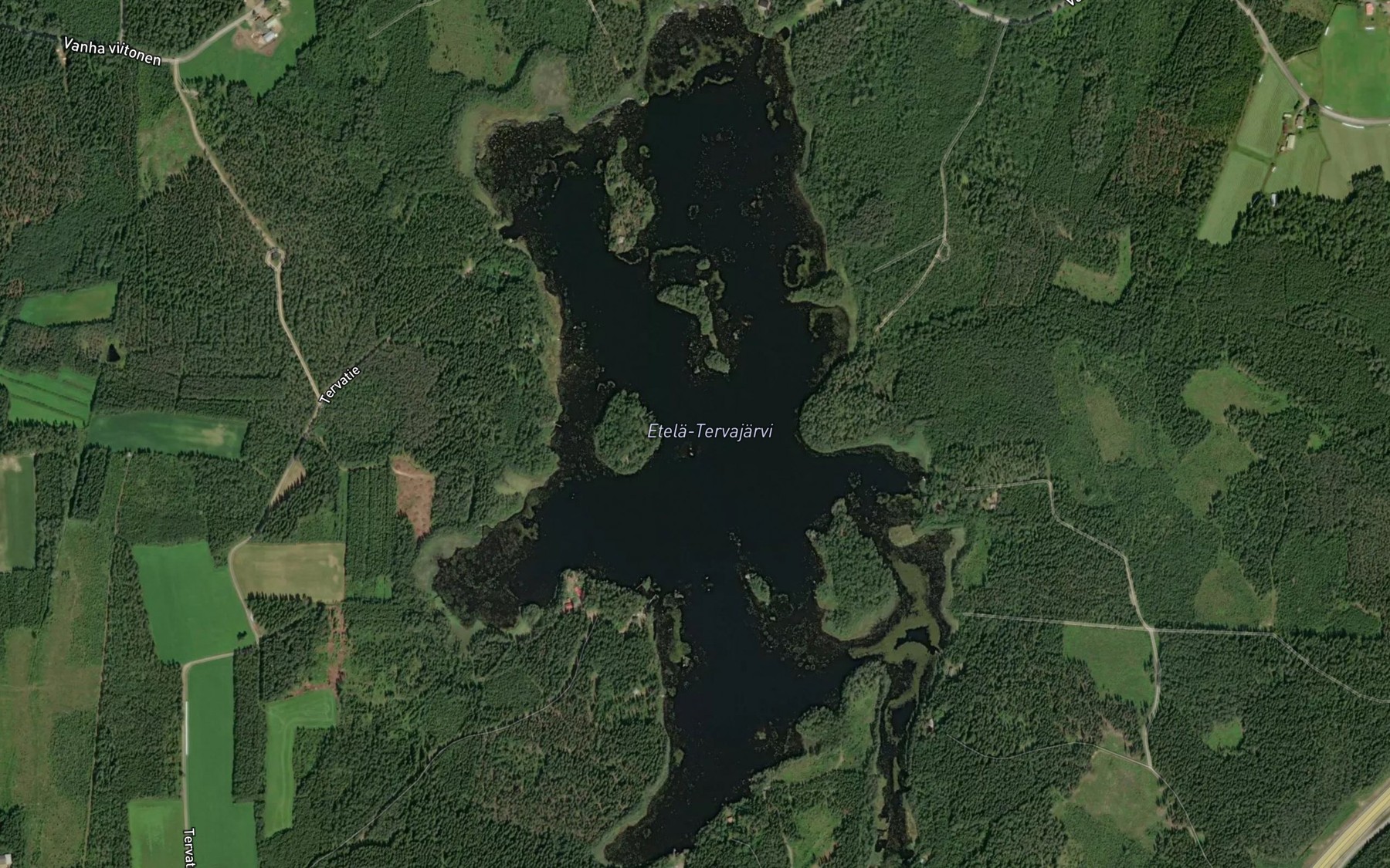 Satellite map of the Antintalonlahti