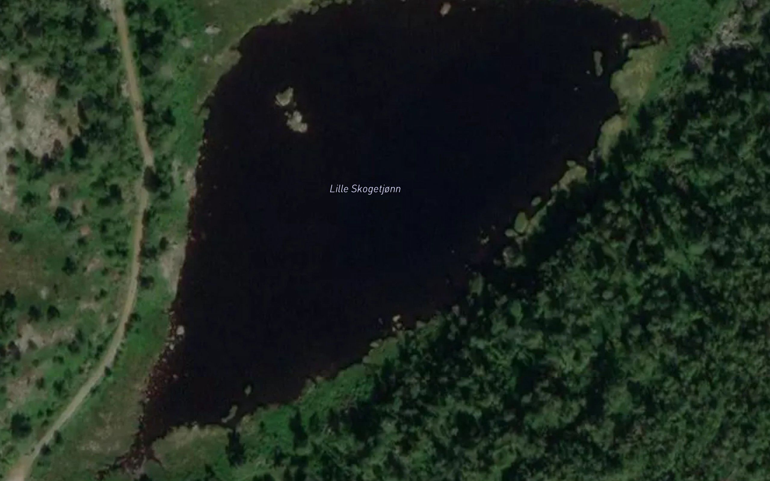 Lille Skogetjonn