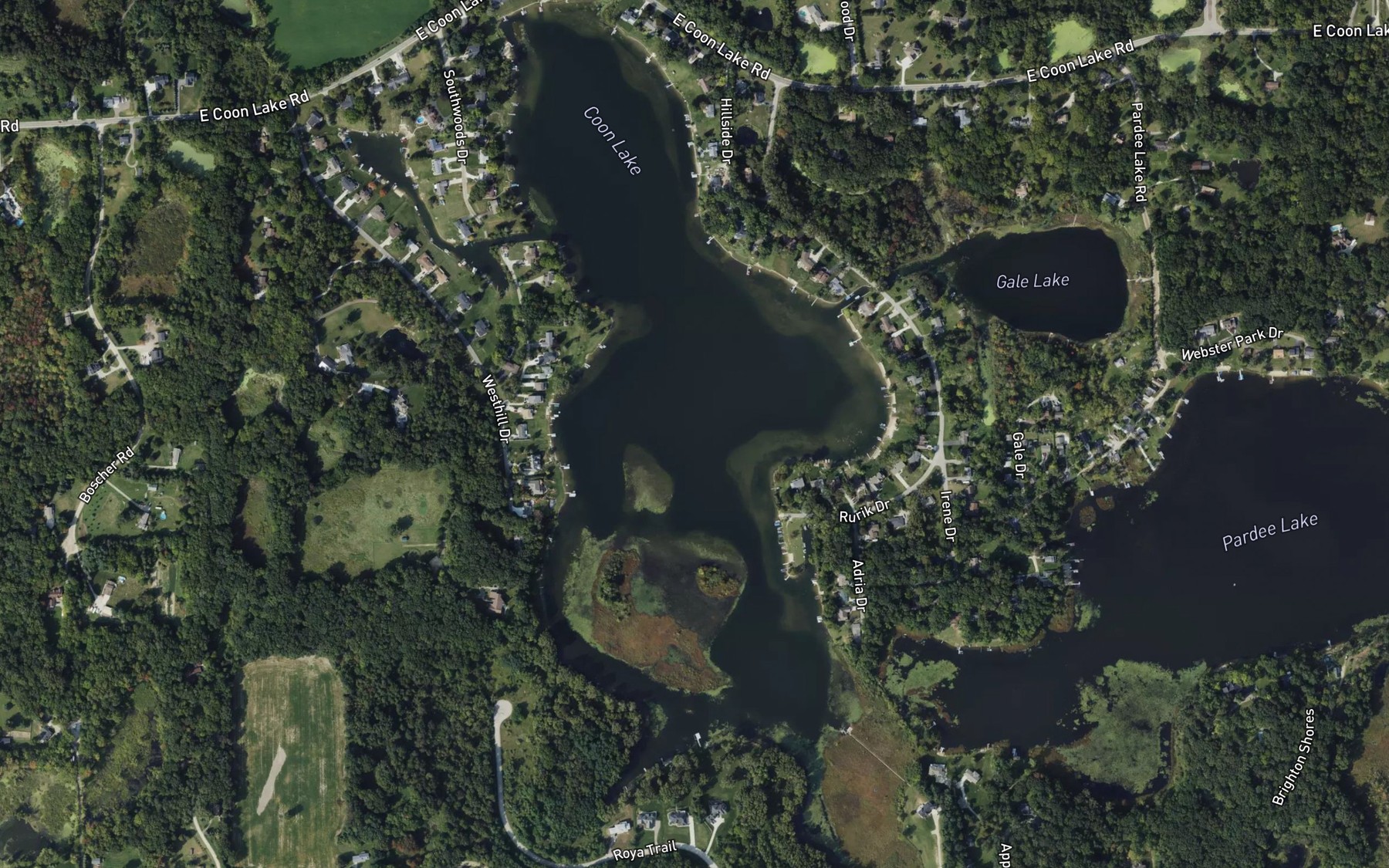 Satellite map of the Coon Lake