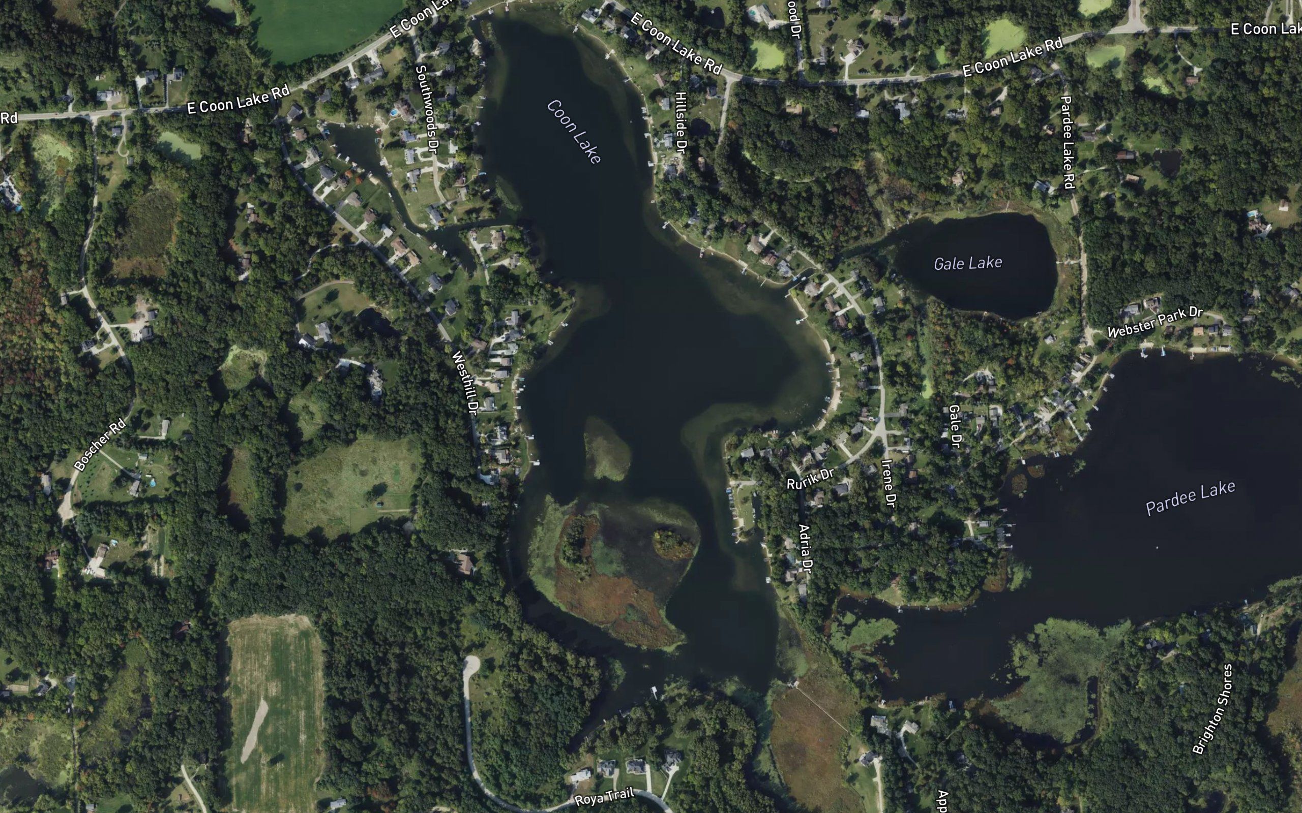 Coon Lake